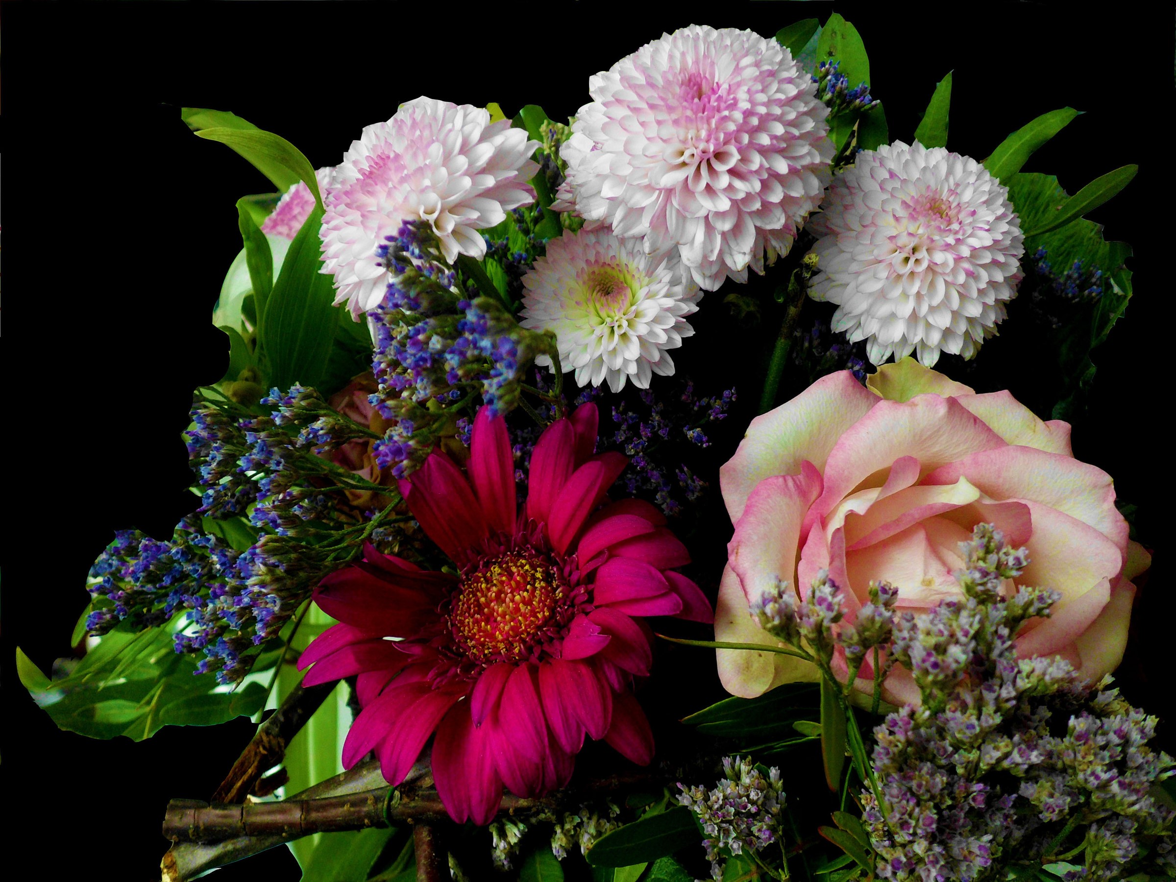 Bouquet of Roses, Dahlias, and Gerberas HD Wallpaper