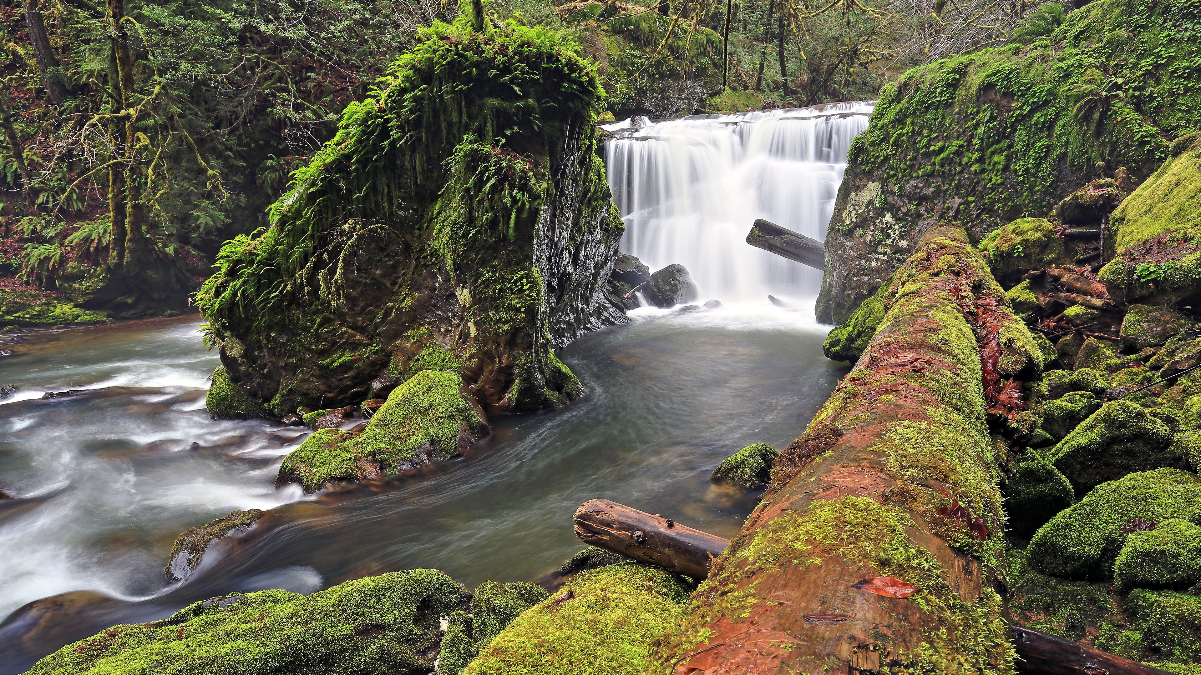 Mossy rocks and a waterfall in a forest HD Wallpaper