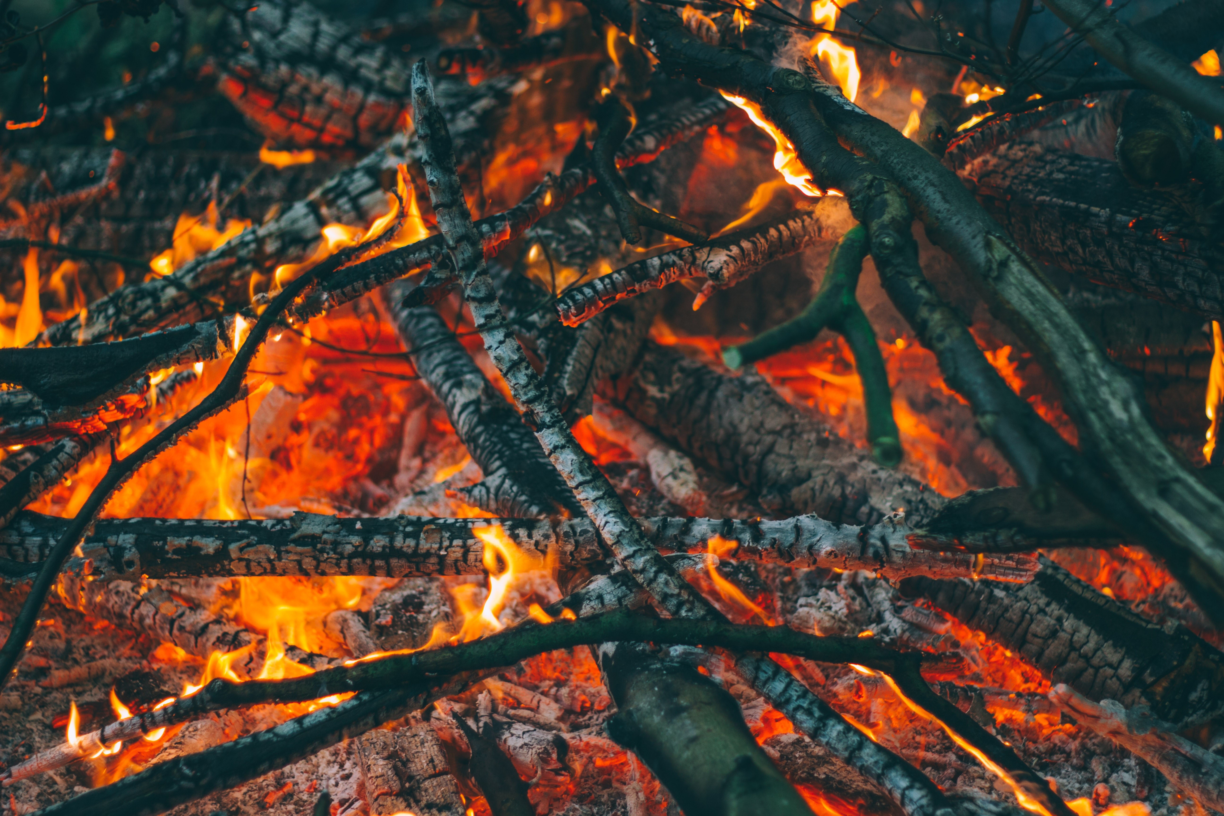 Close-up of a bonfire with smoldering branches HD Wallpaper