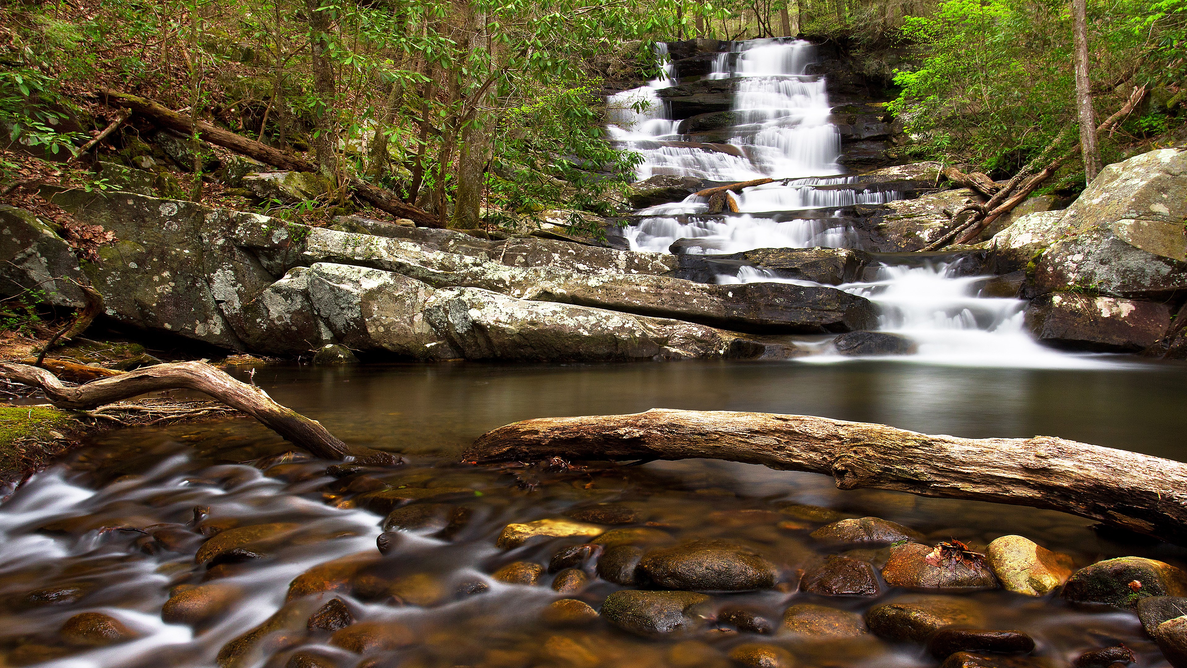 Waterfall cascading over rocks in a forest HD Wallpaper