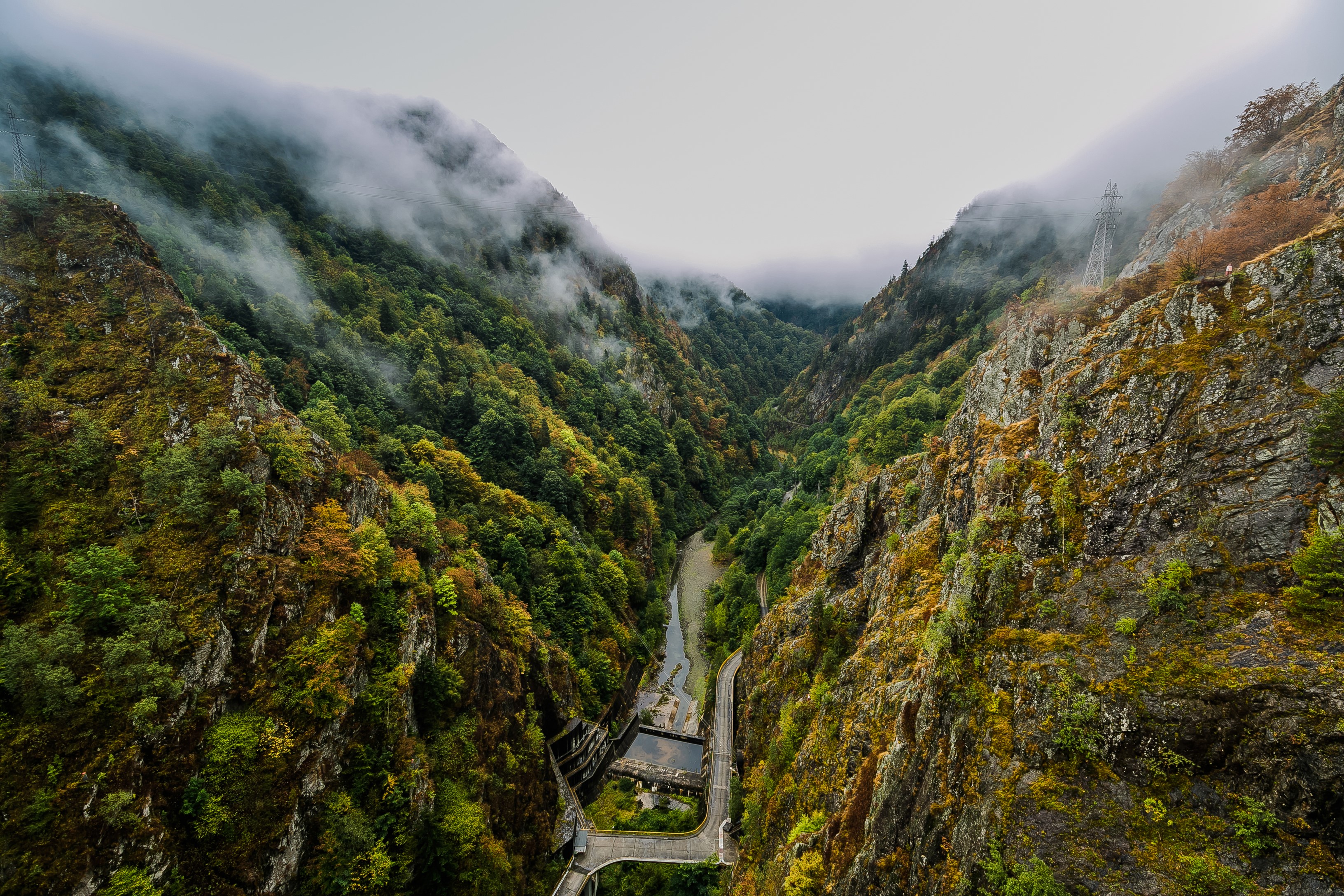 Misty Mountains and Forest Valley in Romania HD Wallpaper
