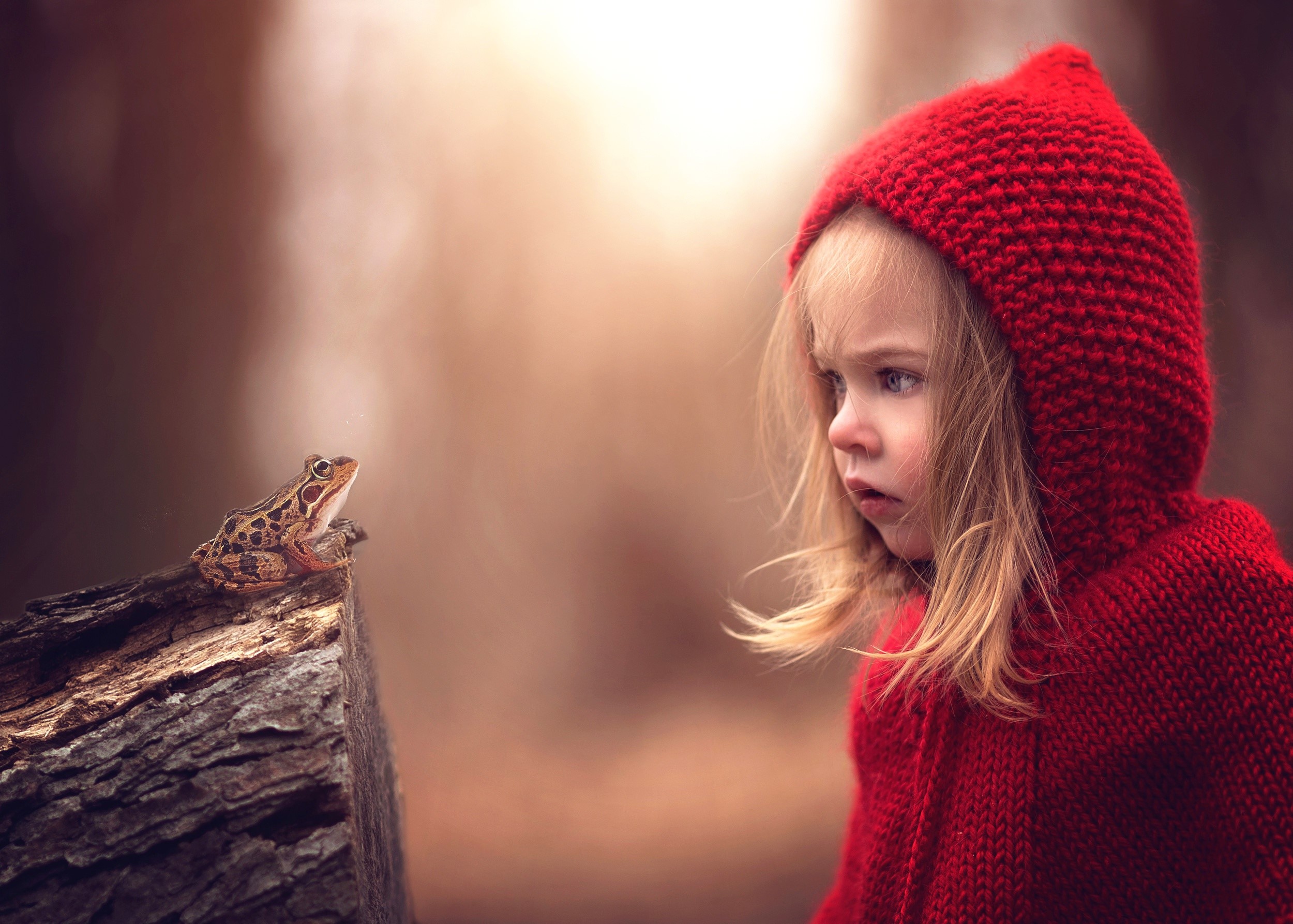 Girl in red hood looking at a frog on a log HD Wallpaper