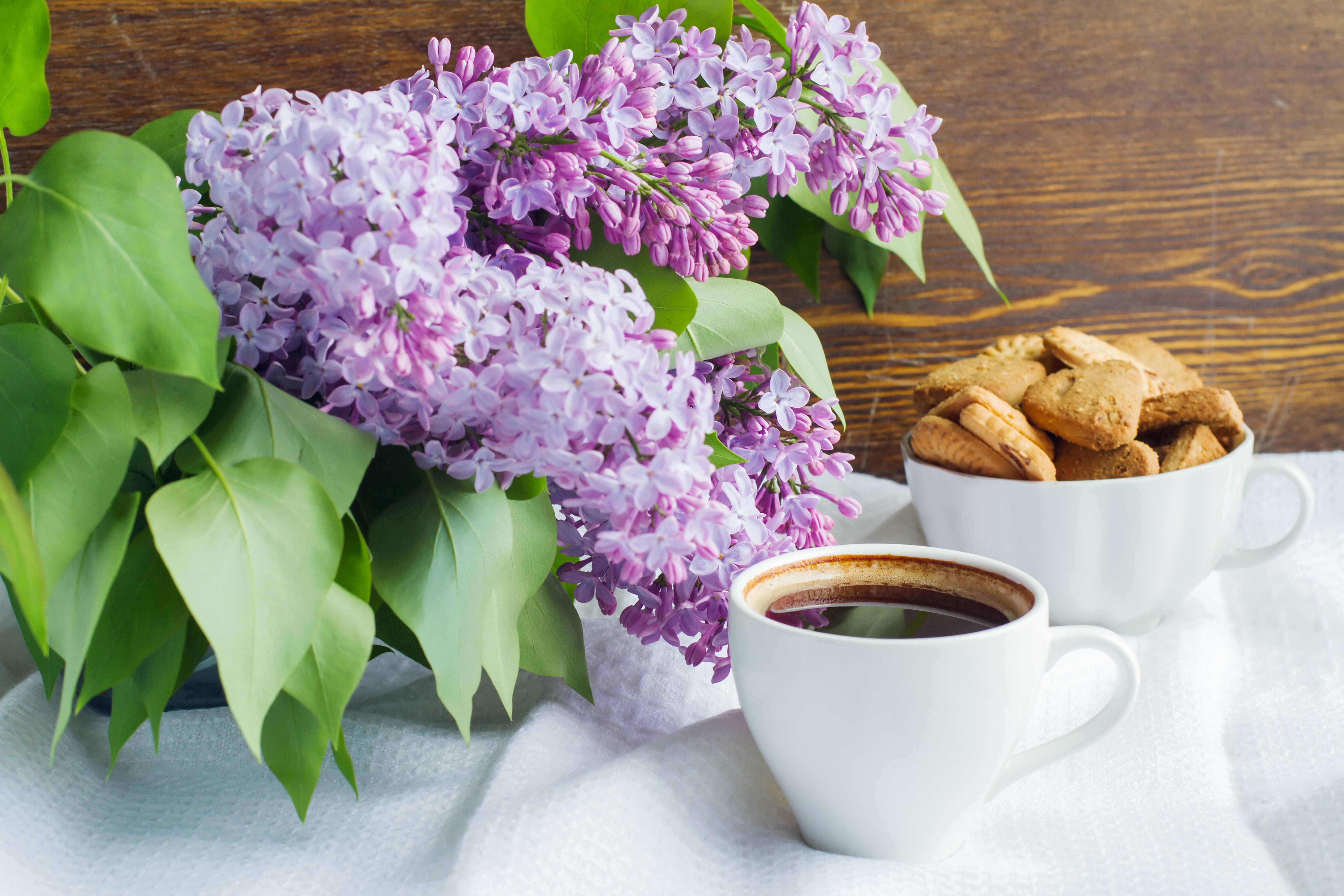 Still-life of Lilac, Coffee, and Cookies HD Wallpaper