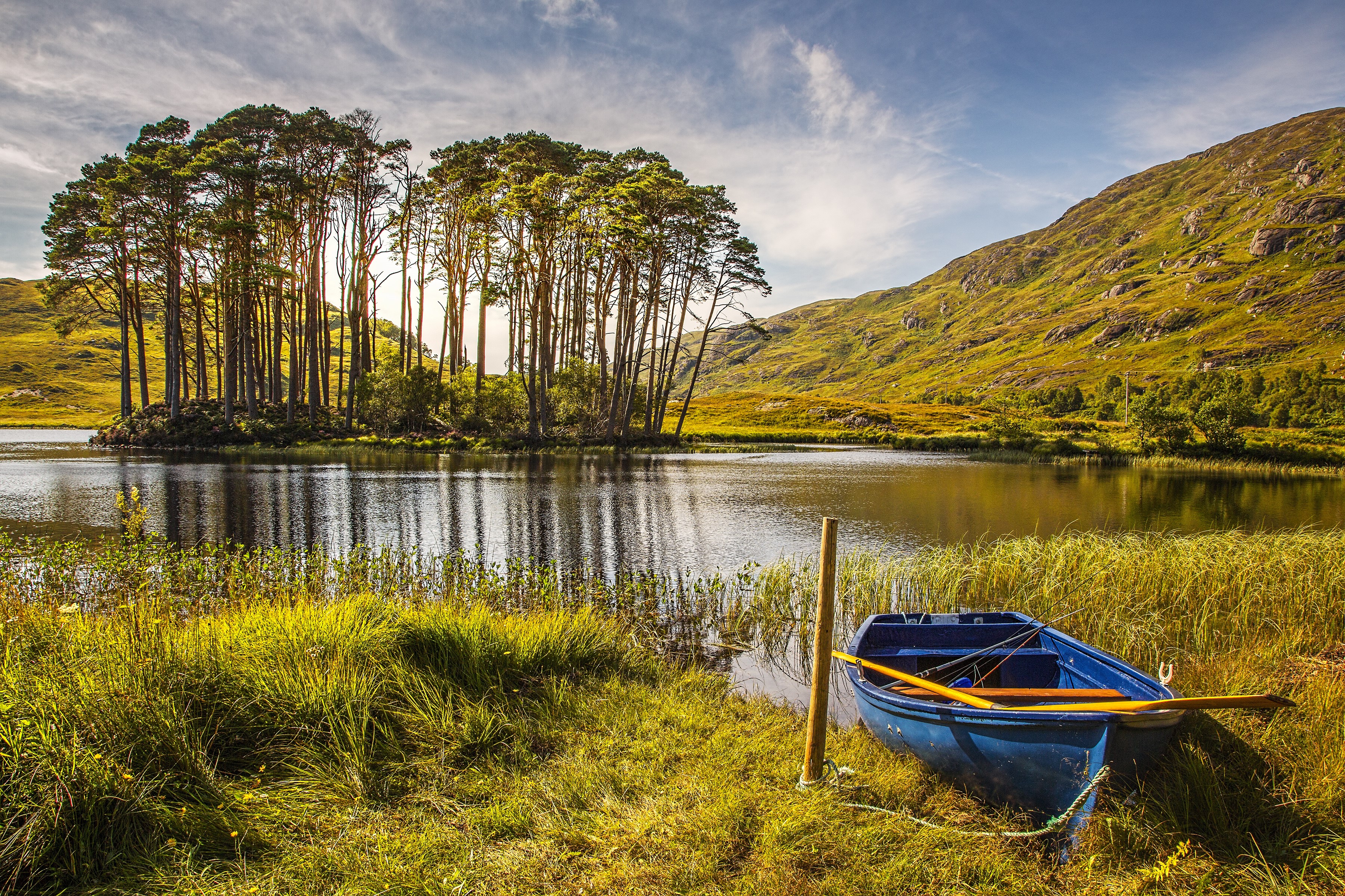 Blue rowboat on a grassy shore of a Scottish lake with trees HD Wallpaper