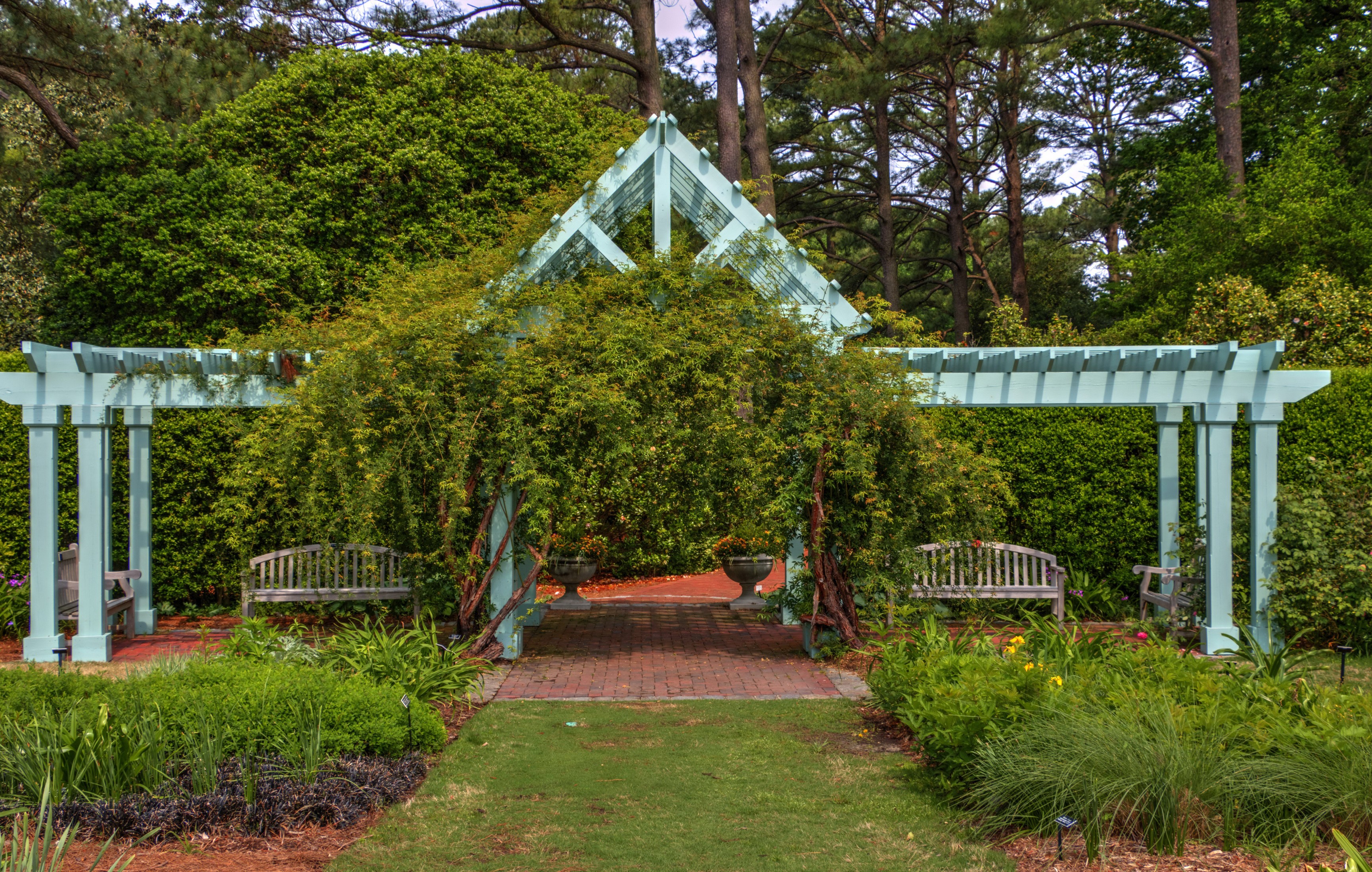 Pergola with benches and plants in a garden HD Wallpaper