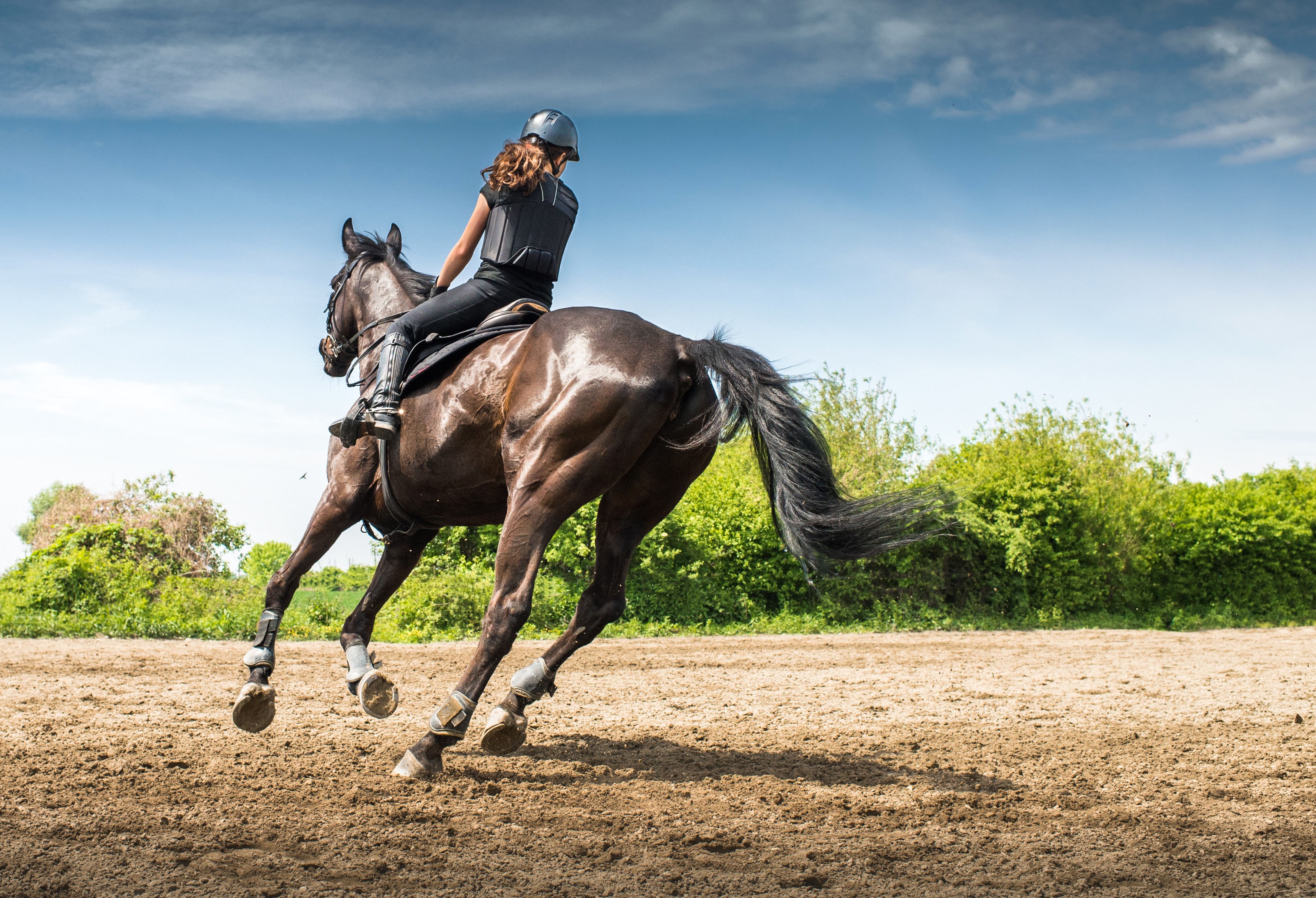 Girl riding a horse in an outdoor arena HD Wallpaper