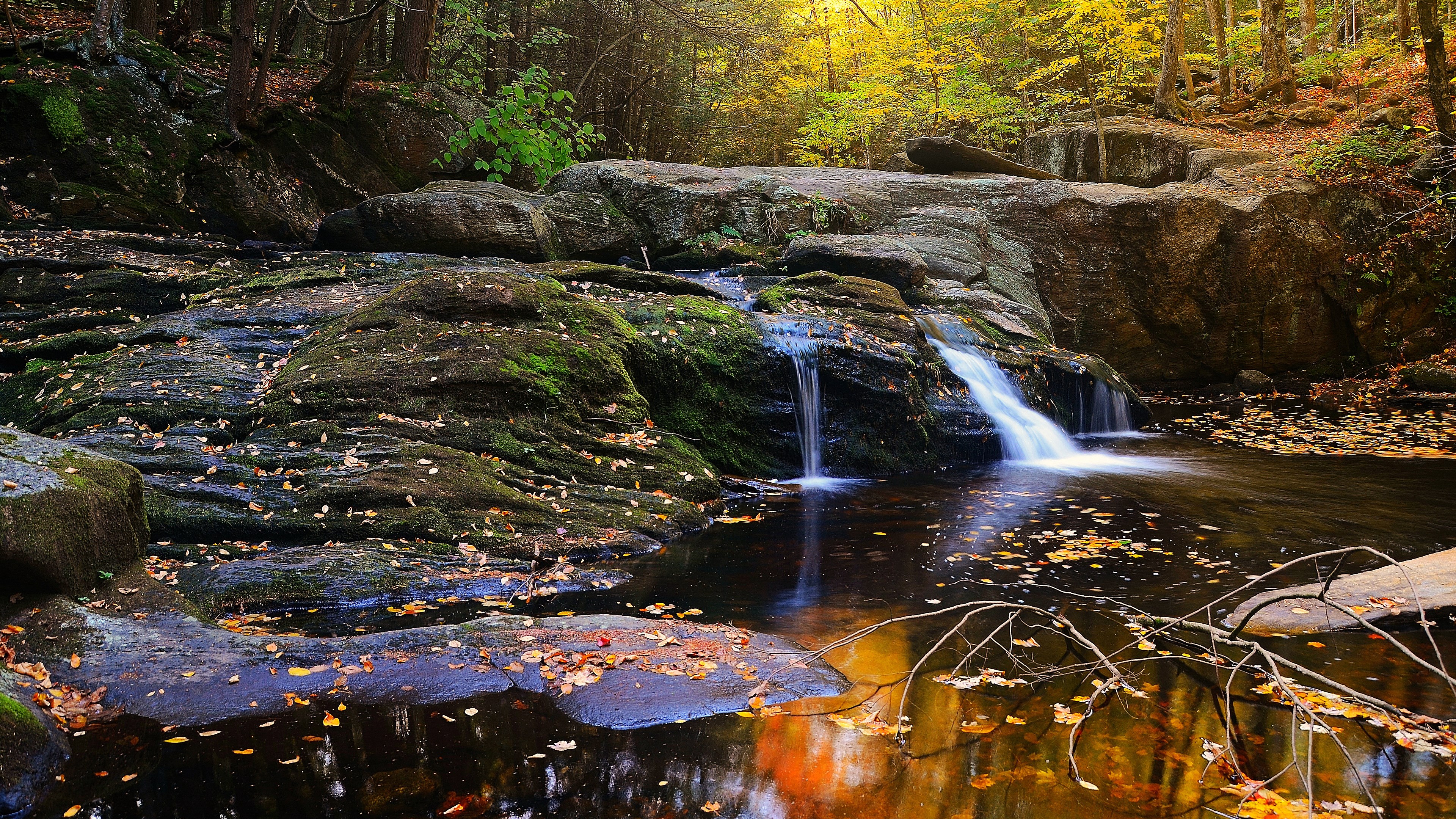 Waterfall in a forest during autumn HD Wallpaper