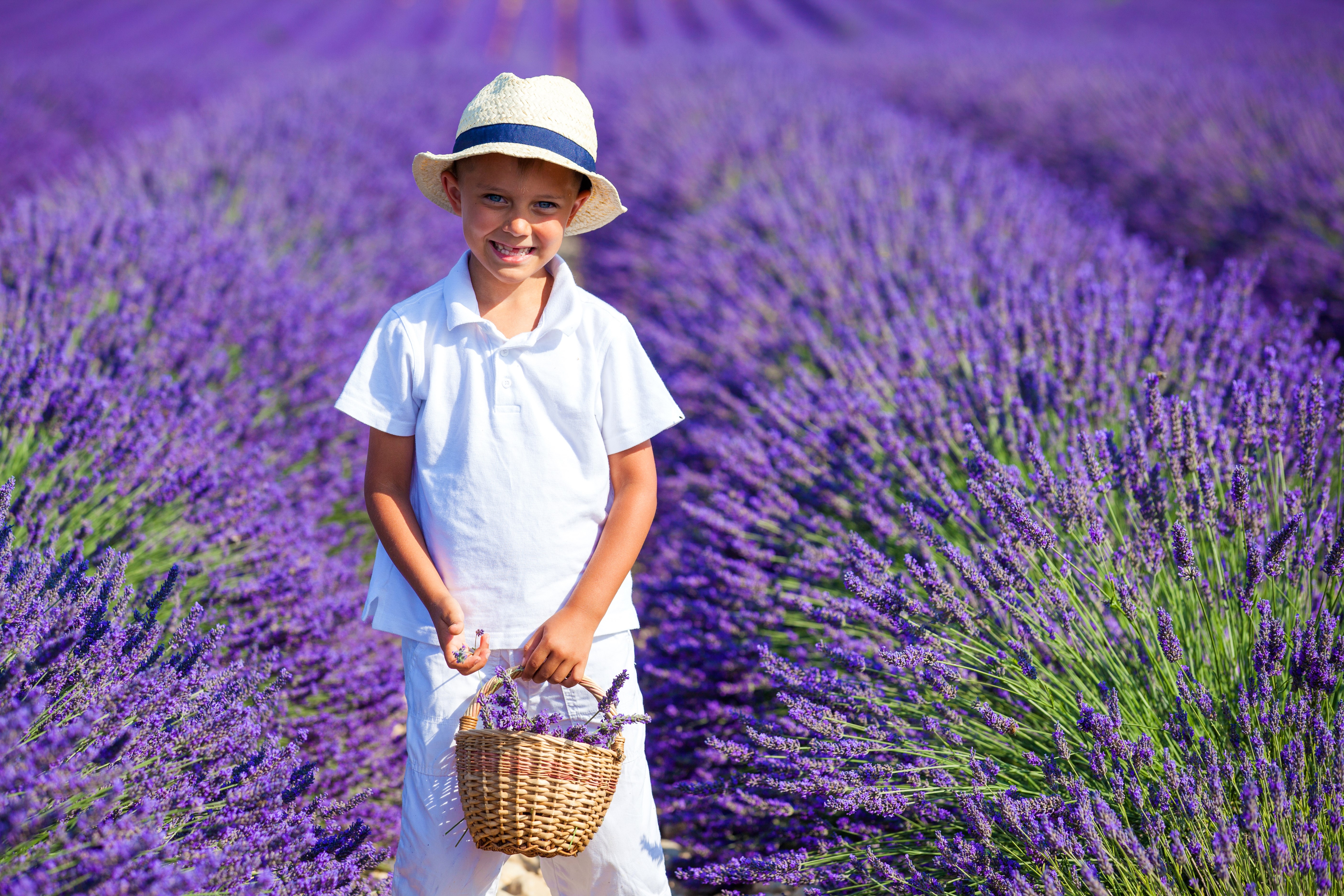 Boy in a Hat with Lavender Basket HD Wallpaper