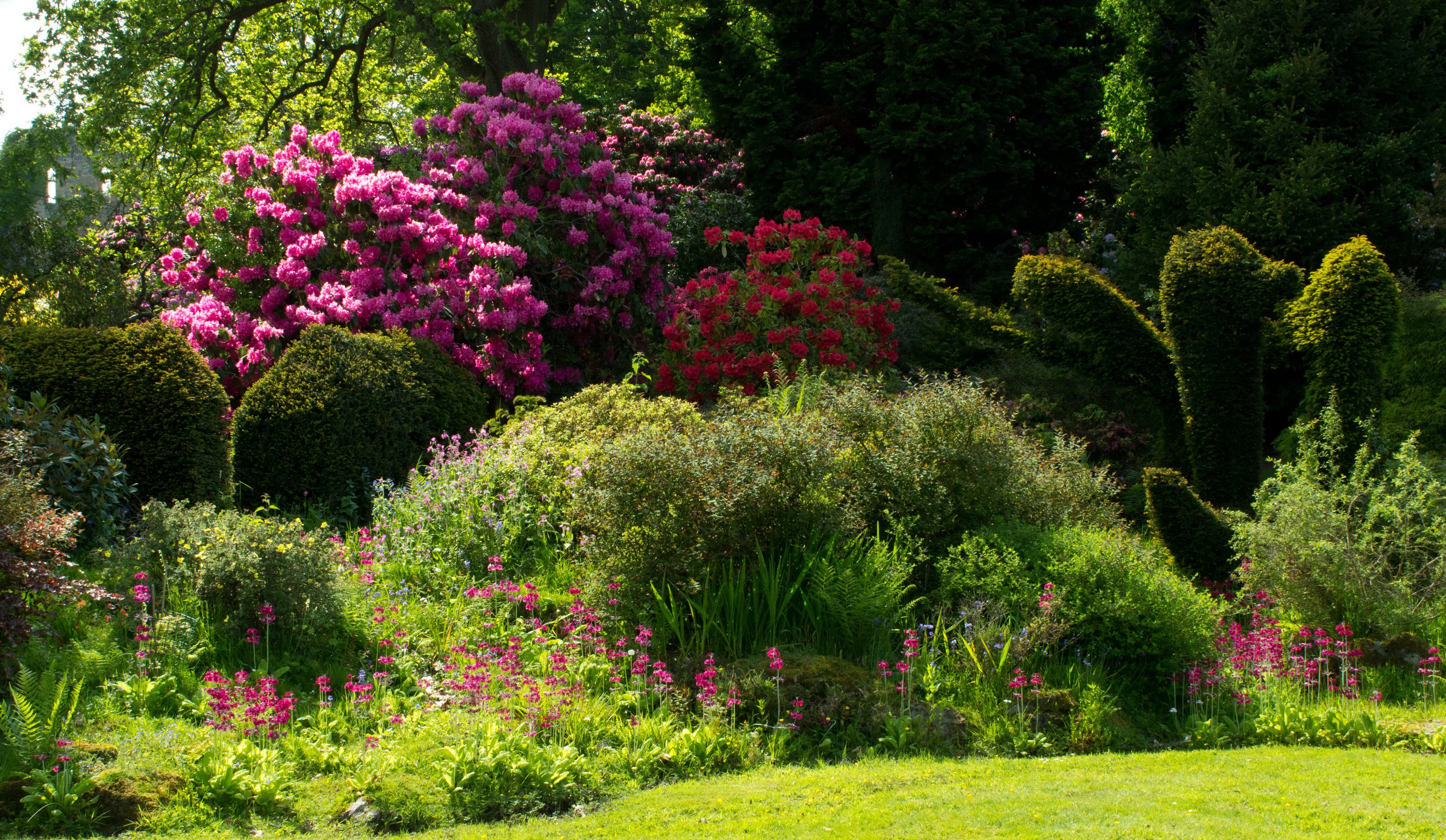 Mount Pleasant Gardens, United Kingdom HD Wallpaper
