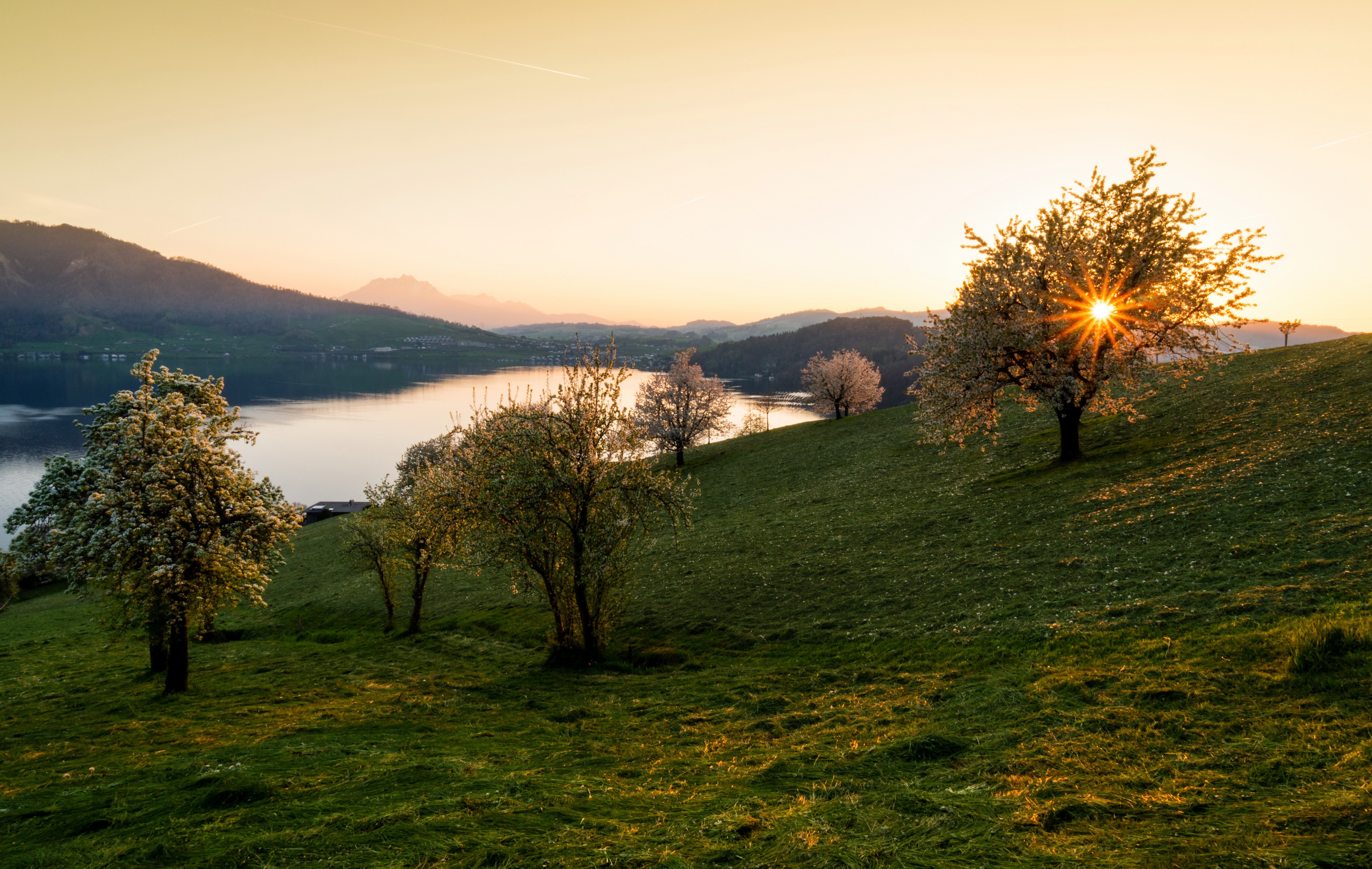 4K Walchwil Switzerland Sunrise Over Lake and Flowering Trees HD Wallpaper
