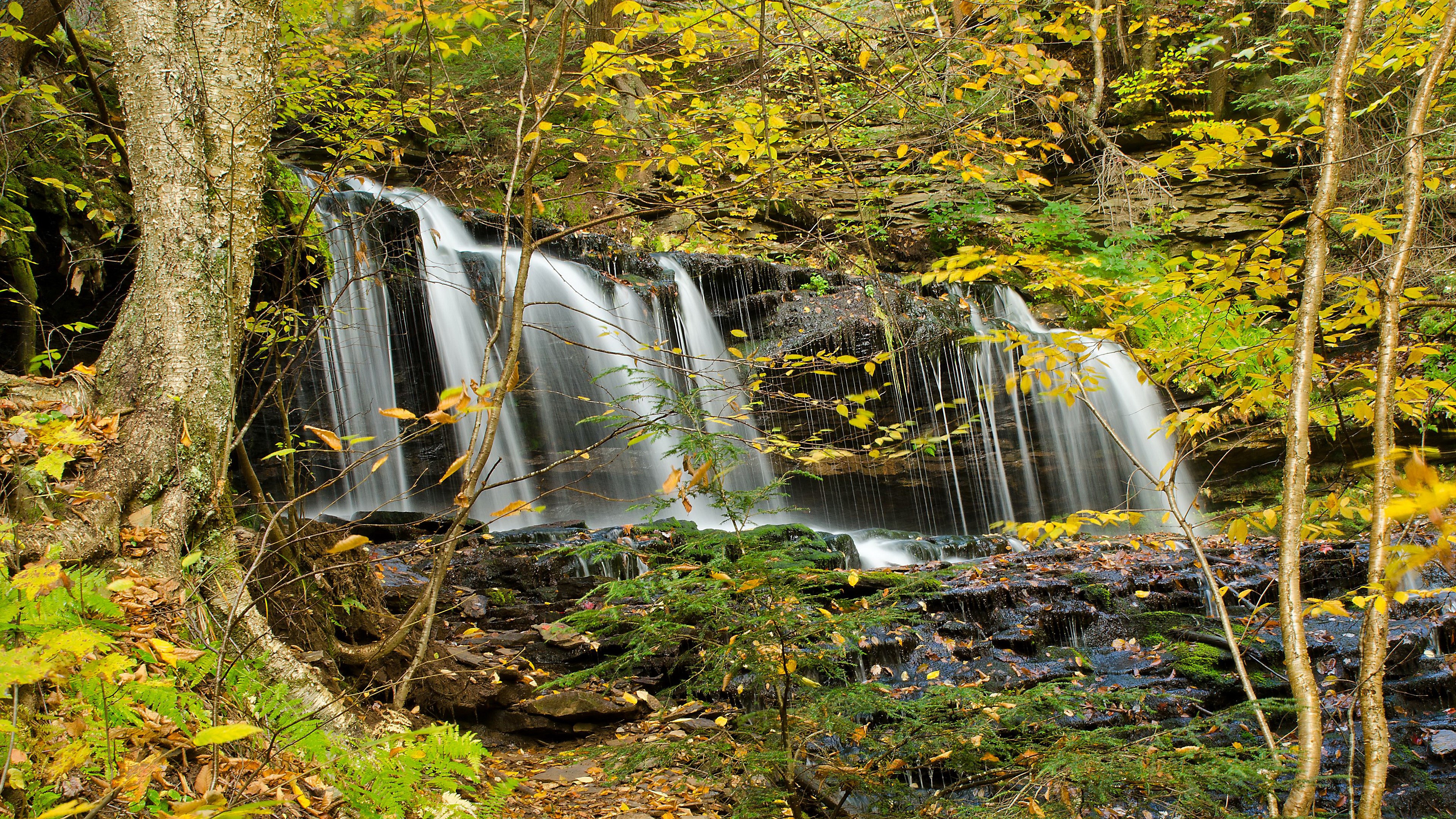 Waterfall in a forest during autumn HD Wallpaper