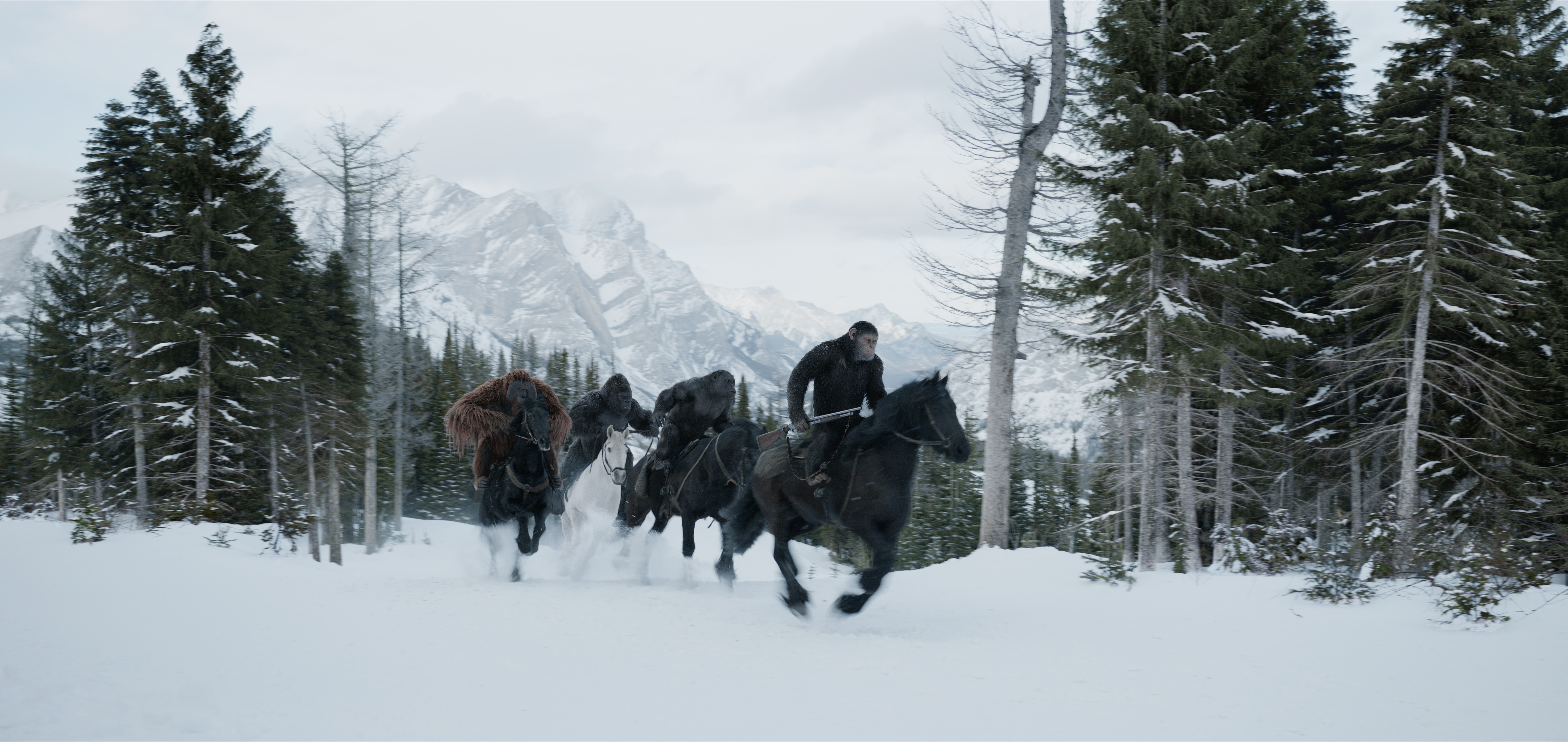 Monkeys on horses in snowy forest HD Wallpaper