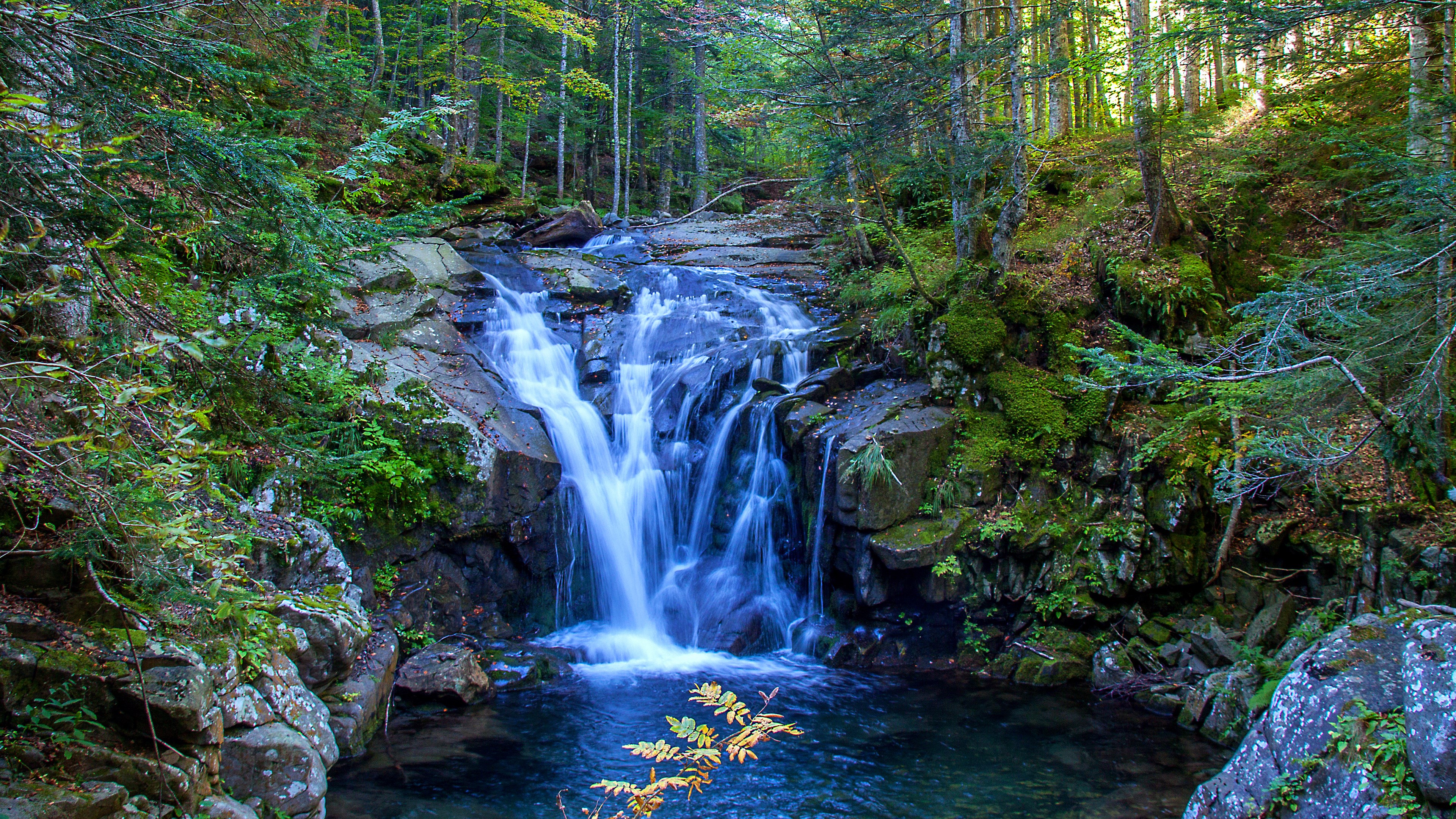 Waterfall cascading through a lush green forest HD Wallpaper