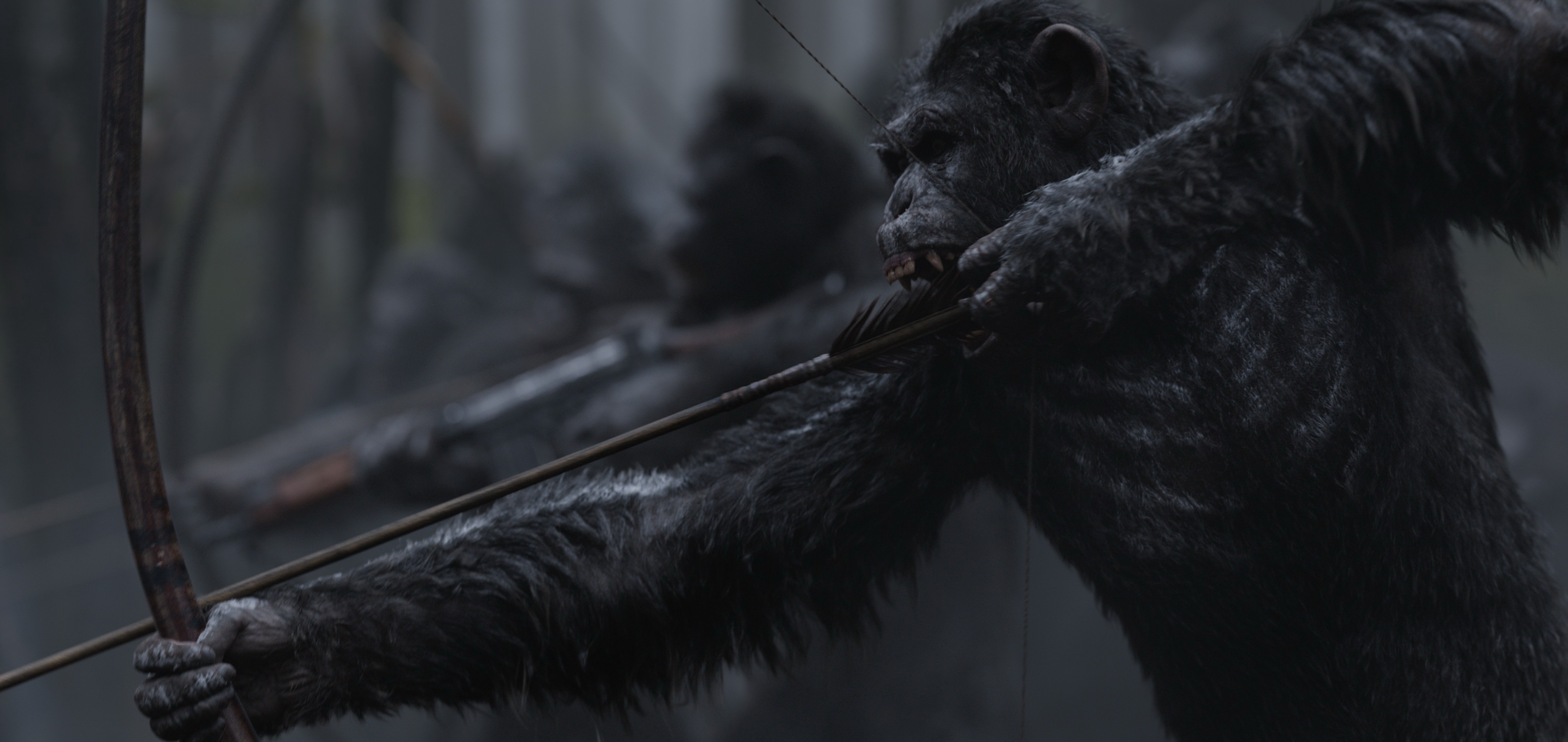 4K, Caesar from War for the Planet of the Apes, Archer HD Wallpaper