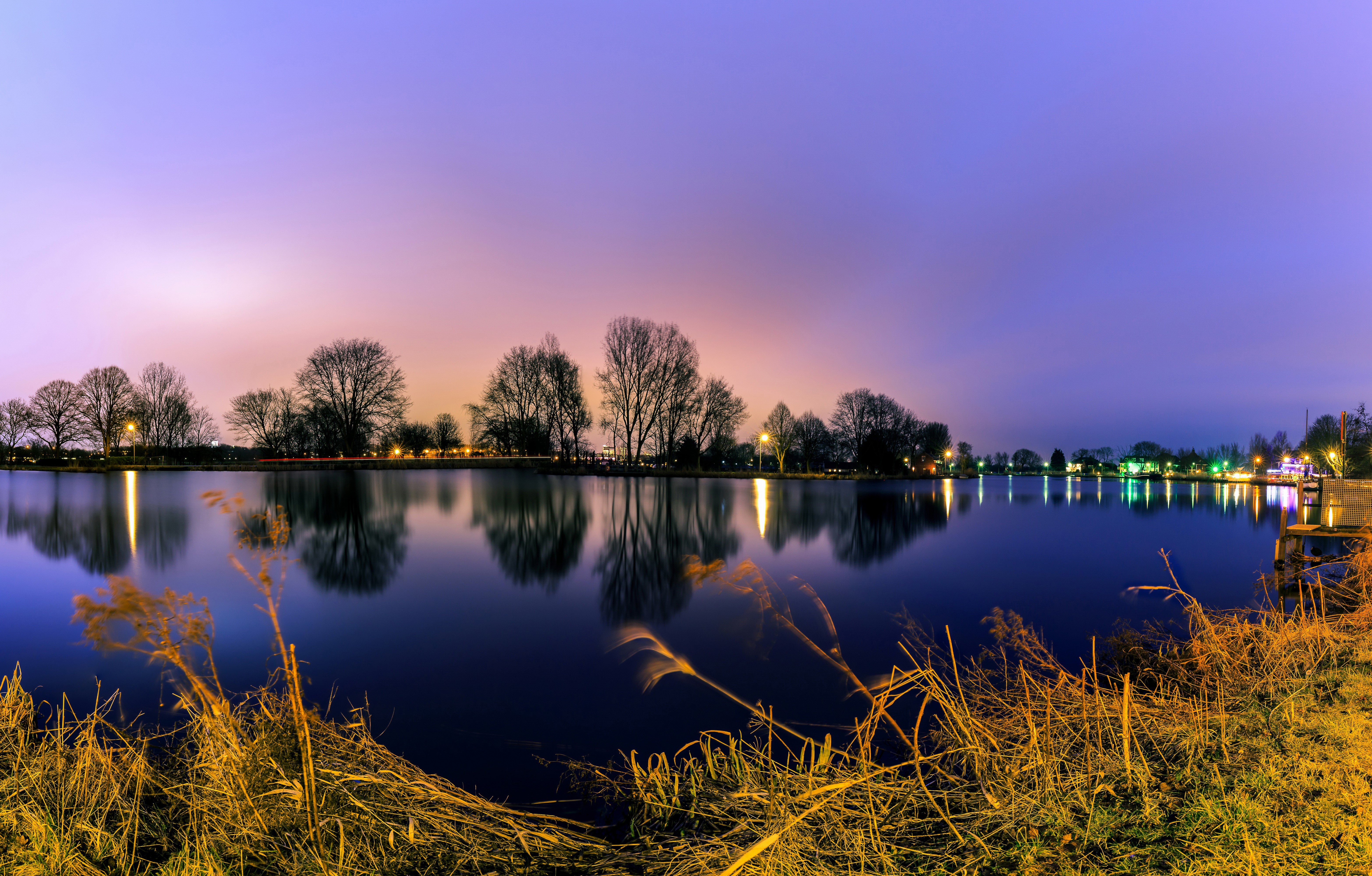 Trees reflecting in water at dusk in Netherlands HD Wallpaper