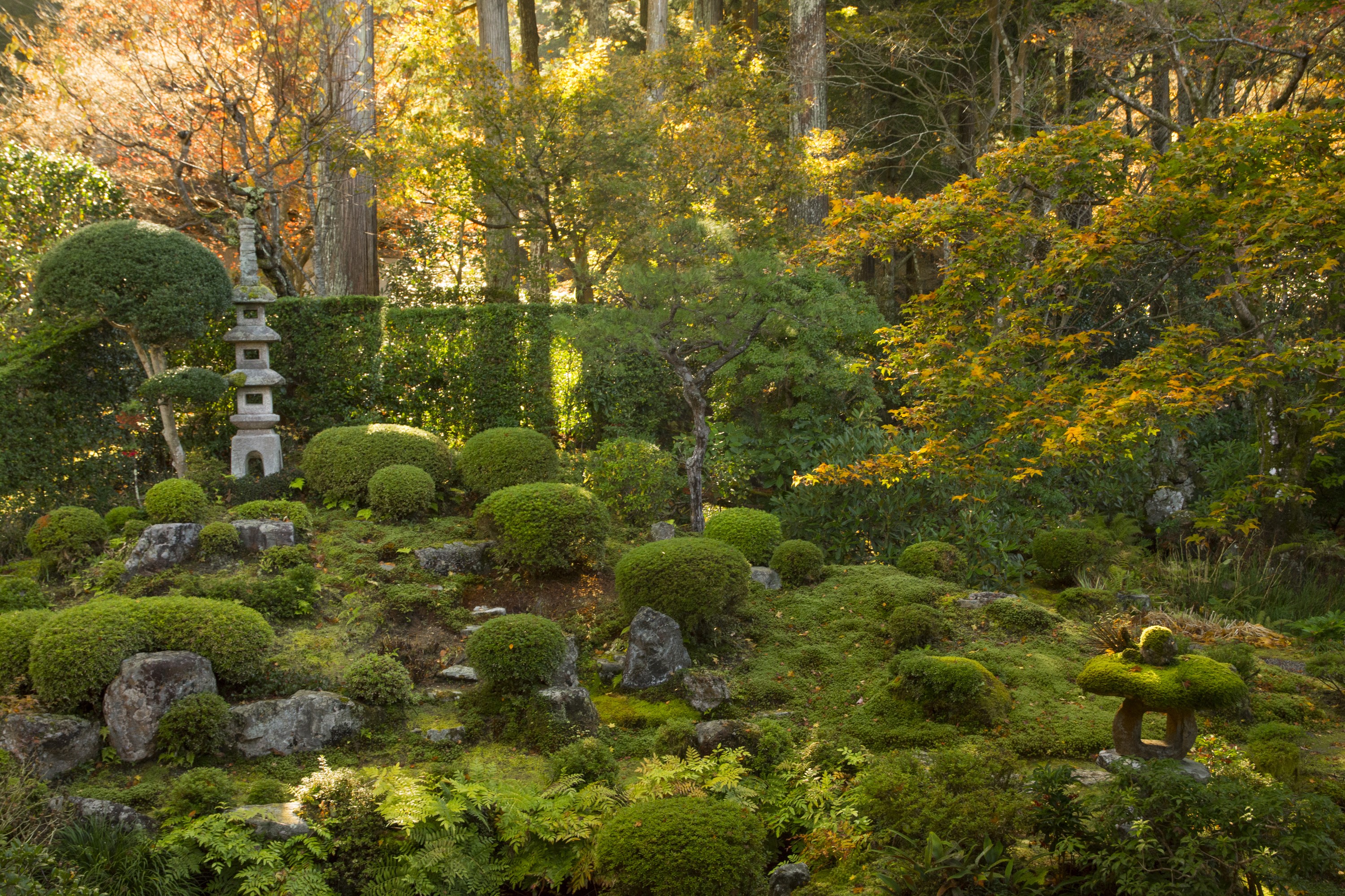 Japanese garden with stone pagoda and manicured shrubs HD Wallpaper