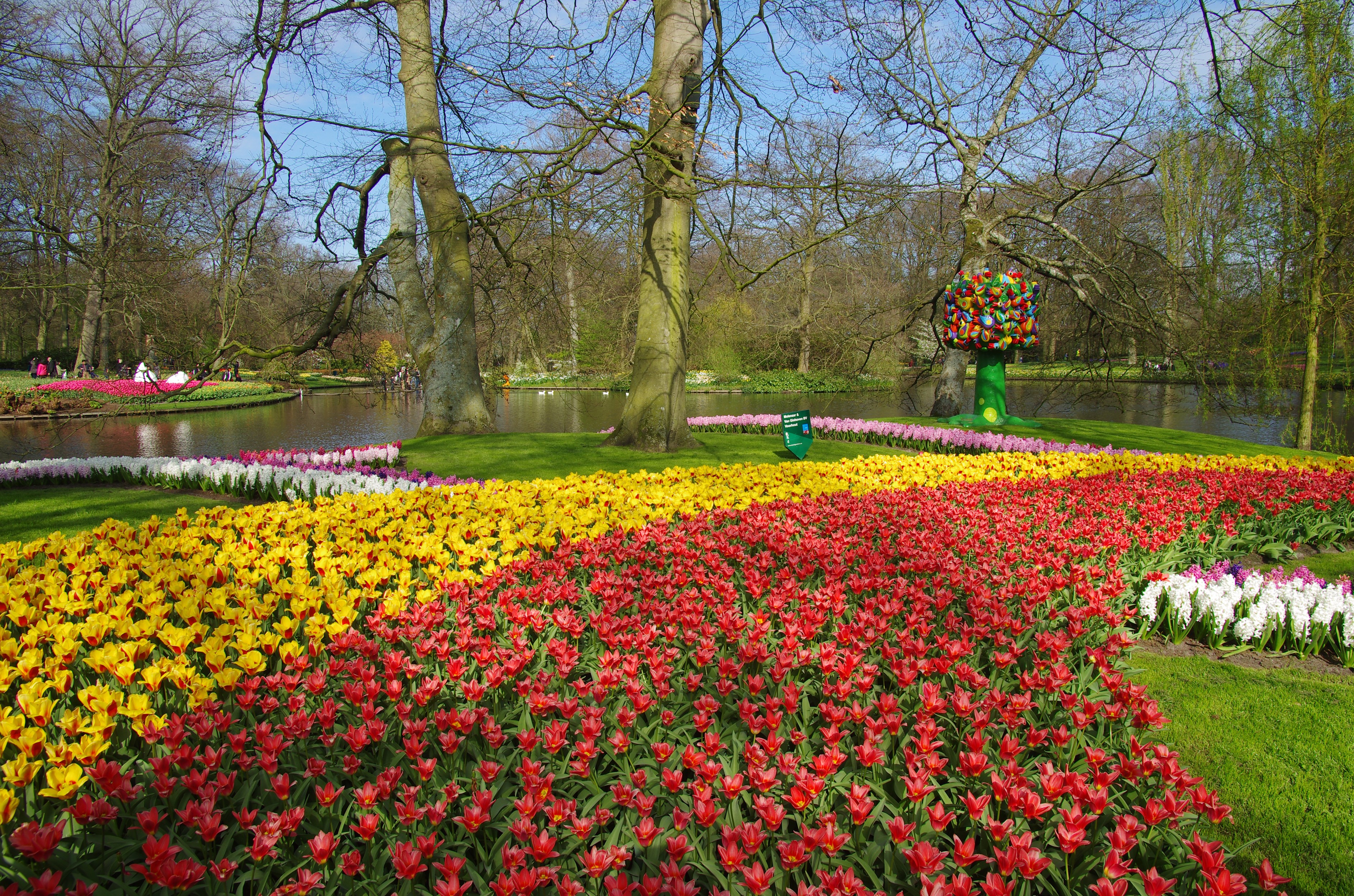 Keukenhof Gardens with Tulips and Pond in Spring HD Wallpaper