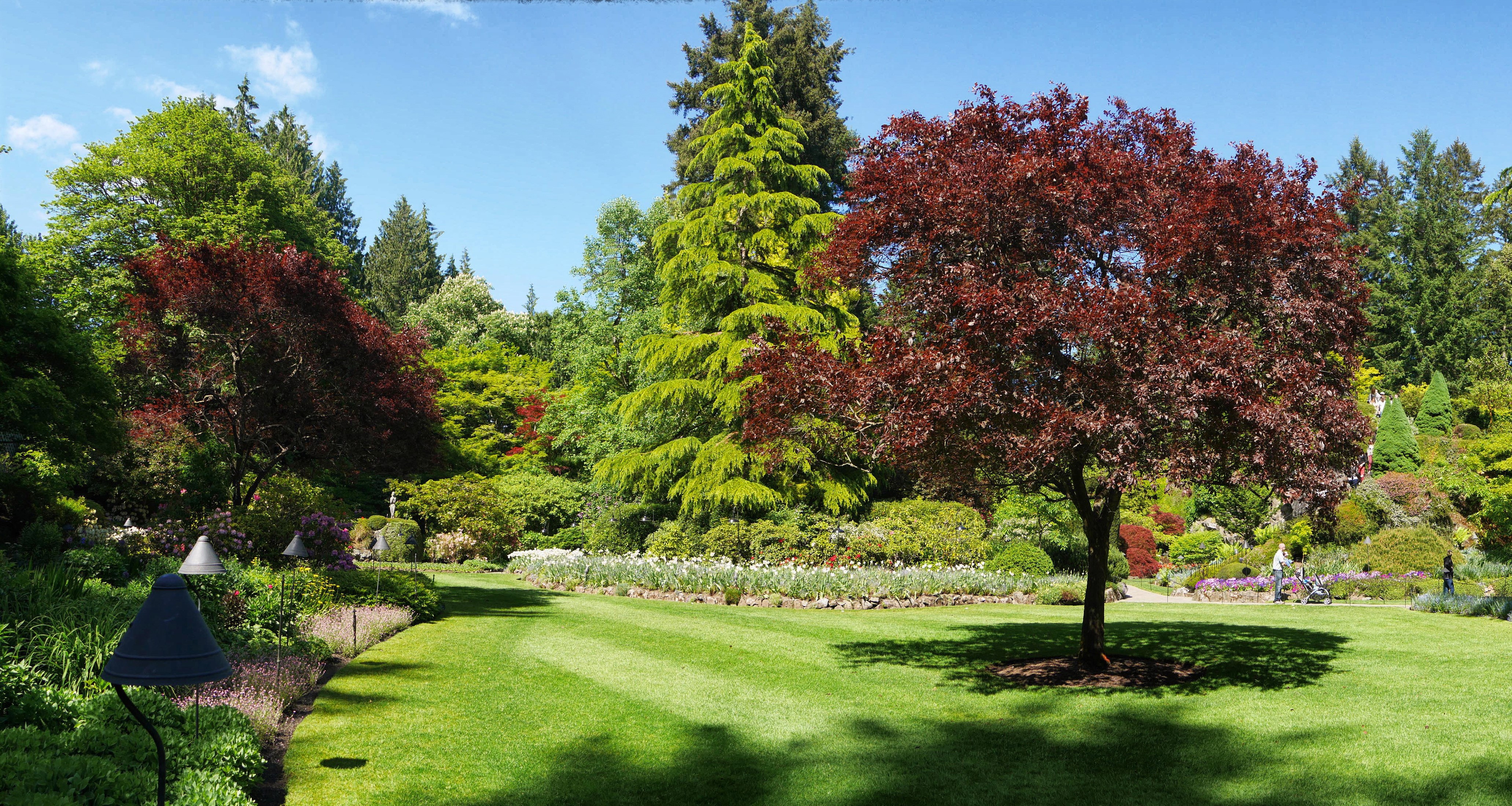 Butchart Gardens with Trees and Lawn HD Wallpaper