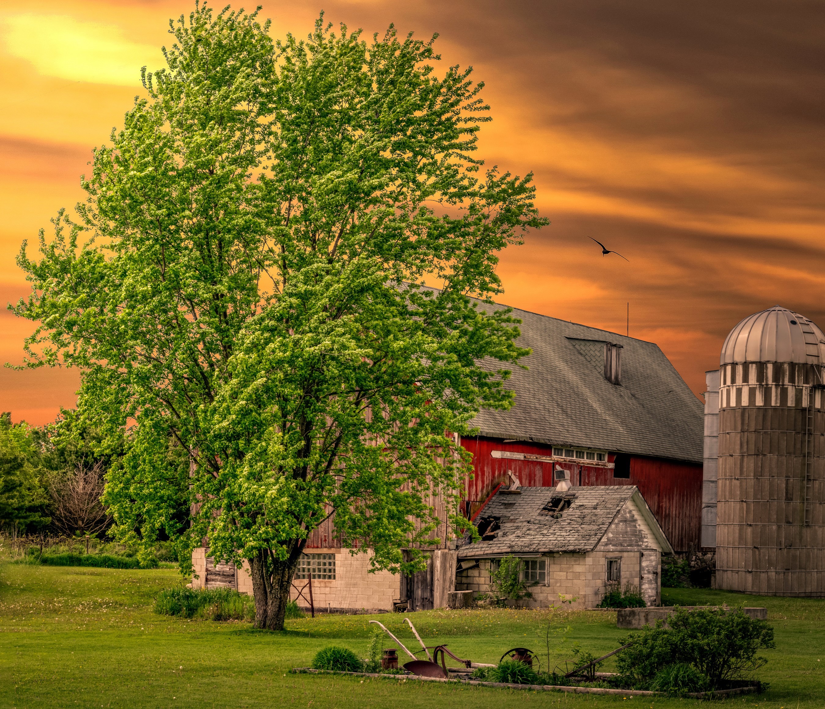Farm with barn, silo, and tree in Polk, Wisconsin HD Wallpaper