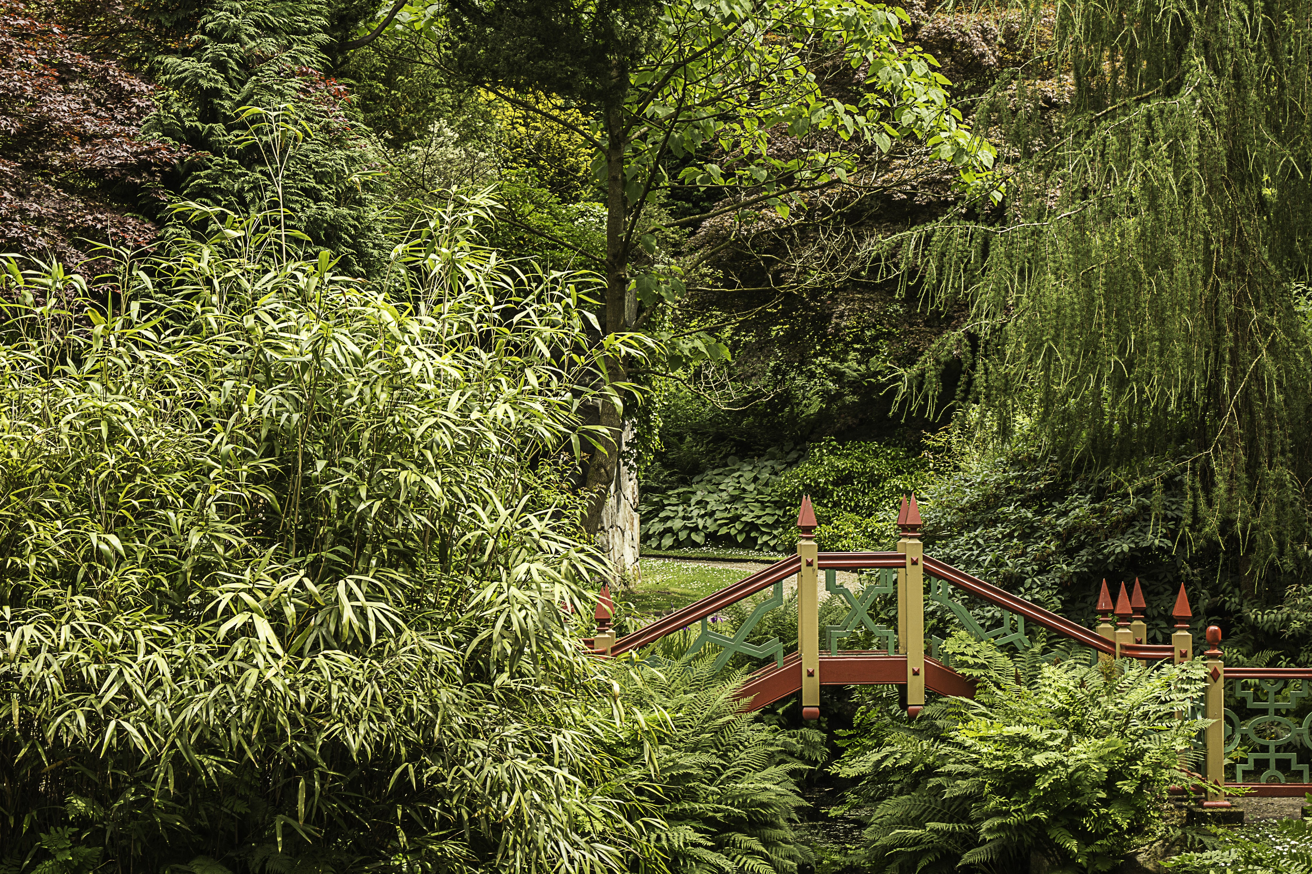 Biddulph Grange Japanese Garden Bridge, United Kingdom HD Wallpaper