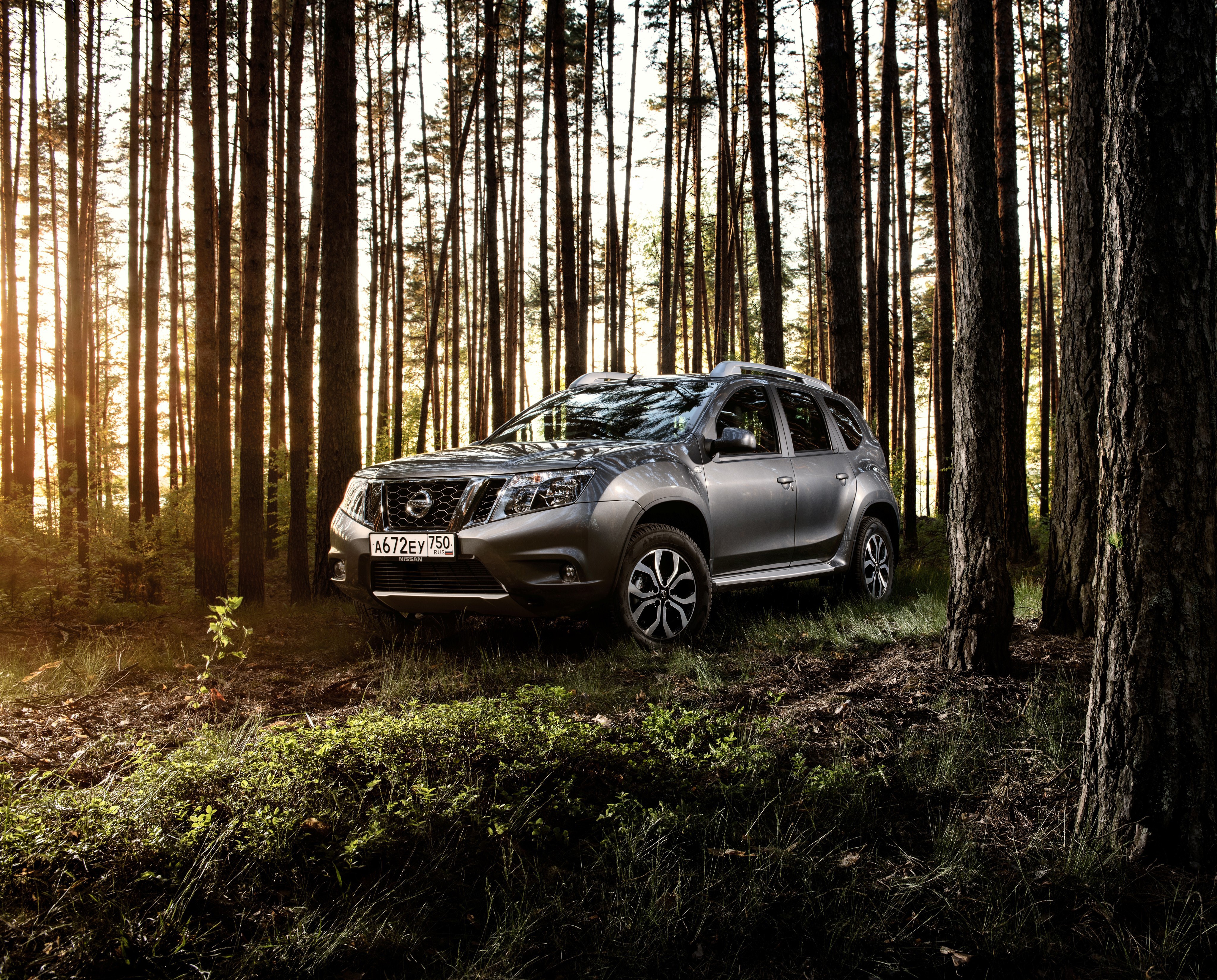 Nissan Terrano in a Forest HD Wallpaper