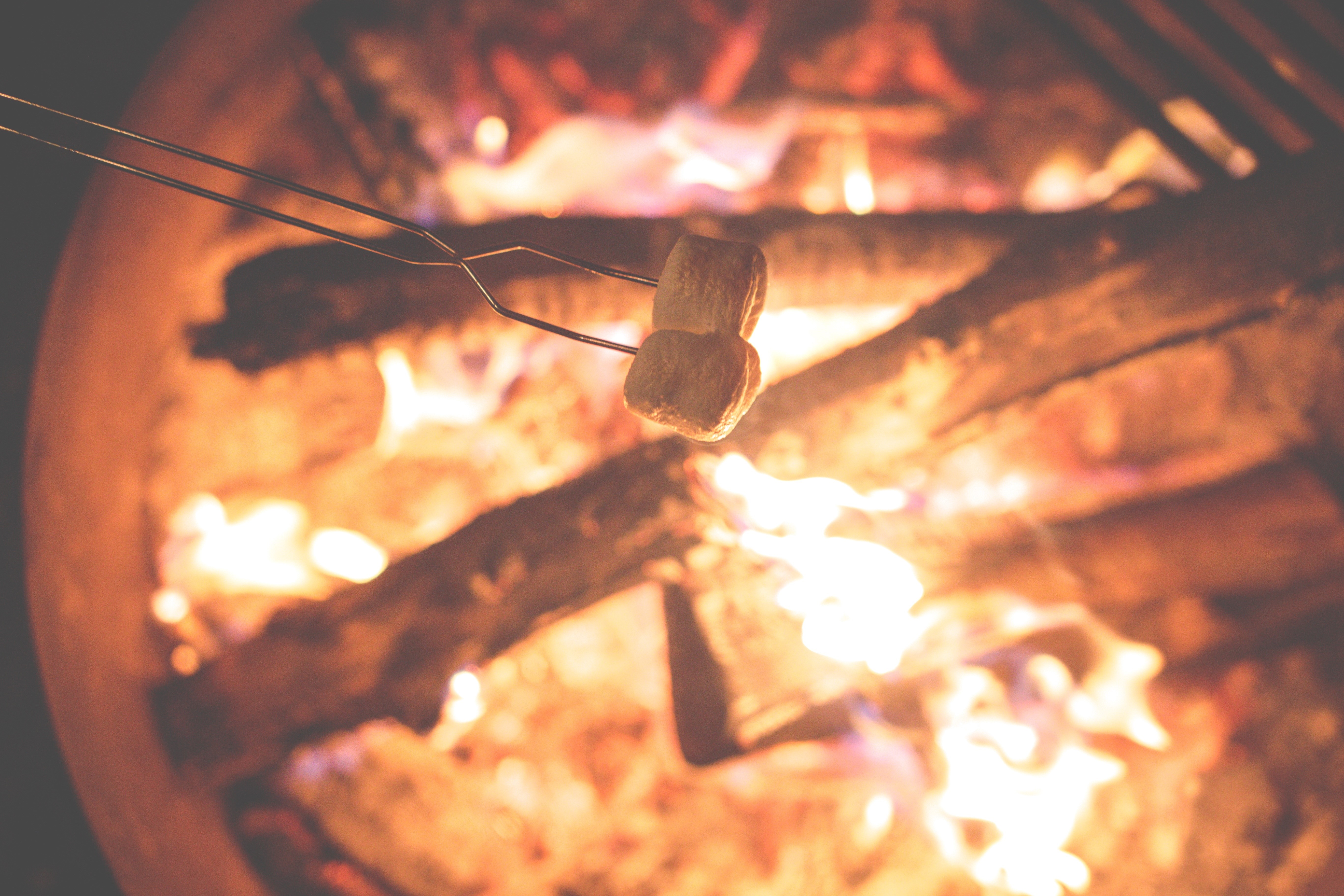 Marshmallows roasting over a bonfire HD Wallpaper