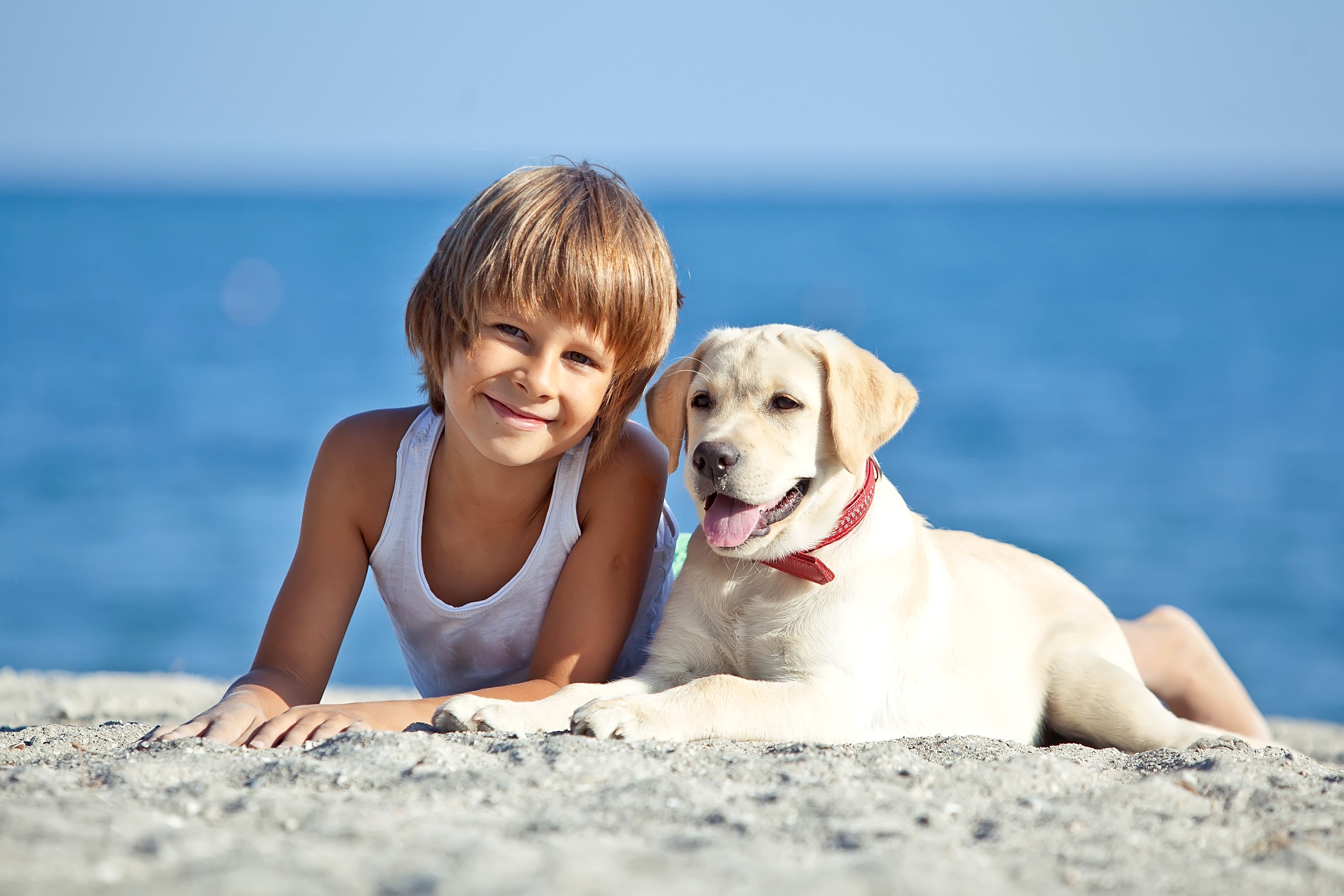 Boy and Labrador Retriever on a Beach HD Wallpaper