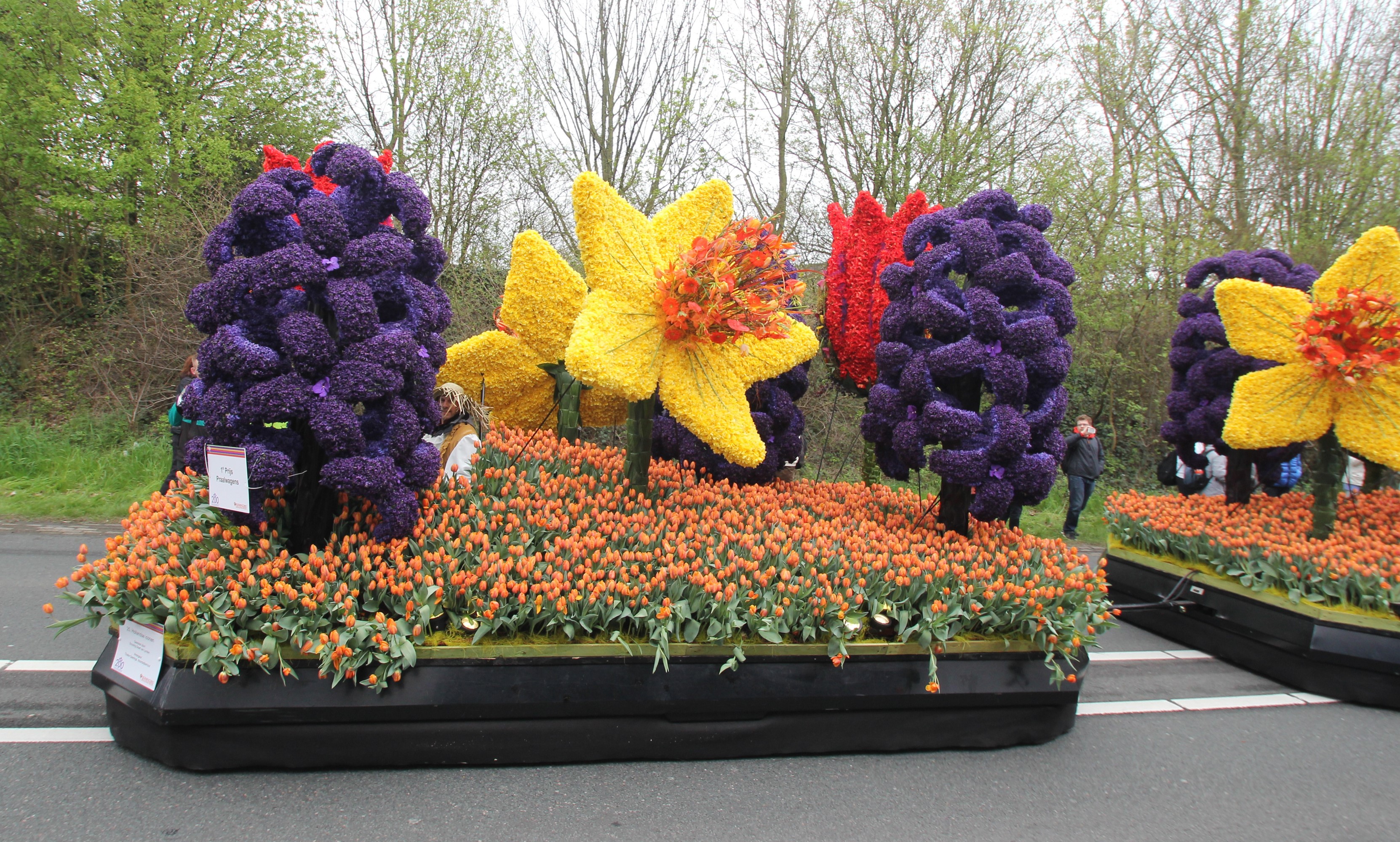 Flower floats with tulips and hyacinths at Keukenhof HD Wallpaper