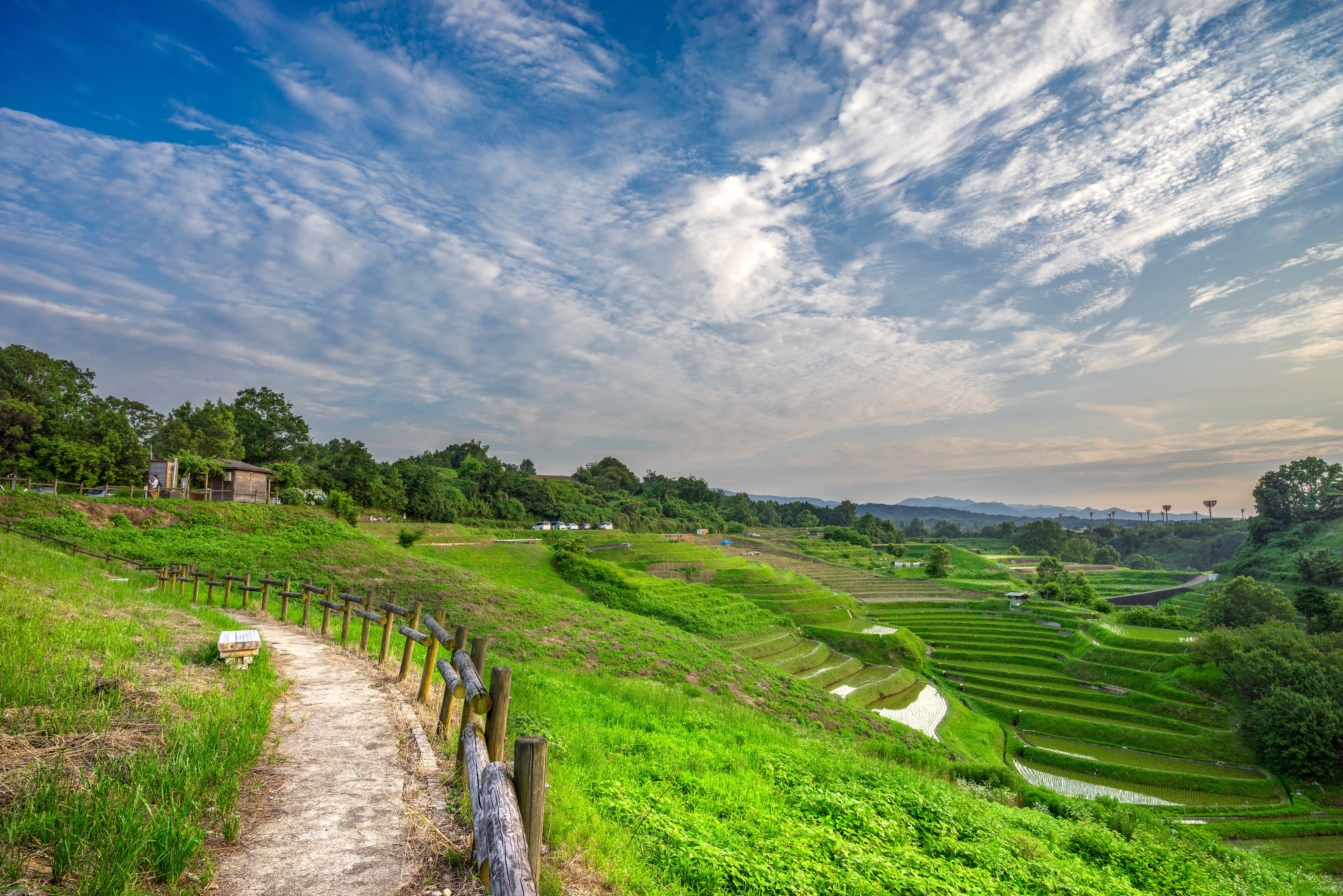 Terraced Rice Fields in Japan Under a Cloudy Sky HD Wallpaper