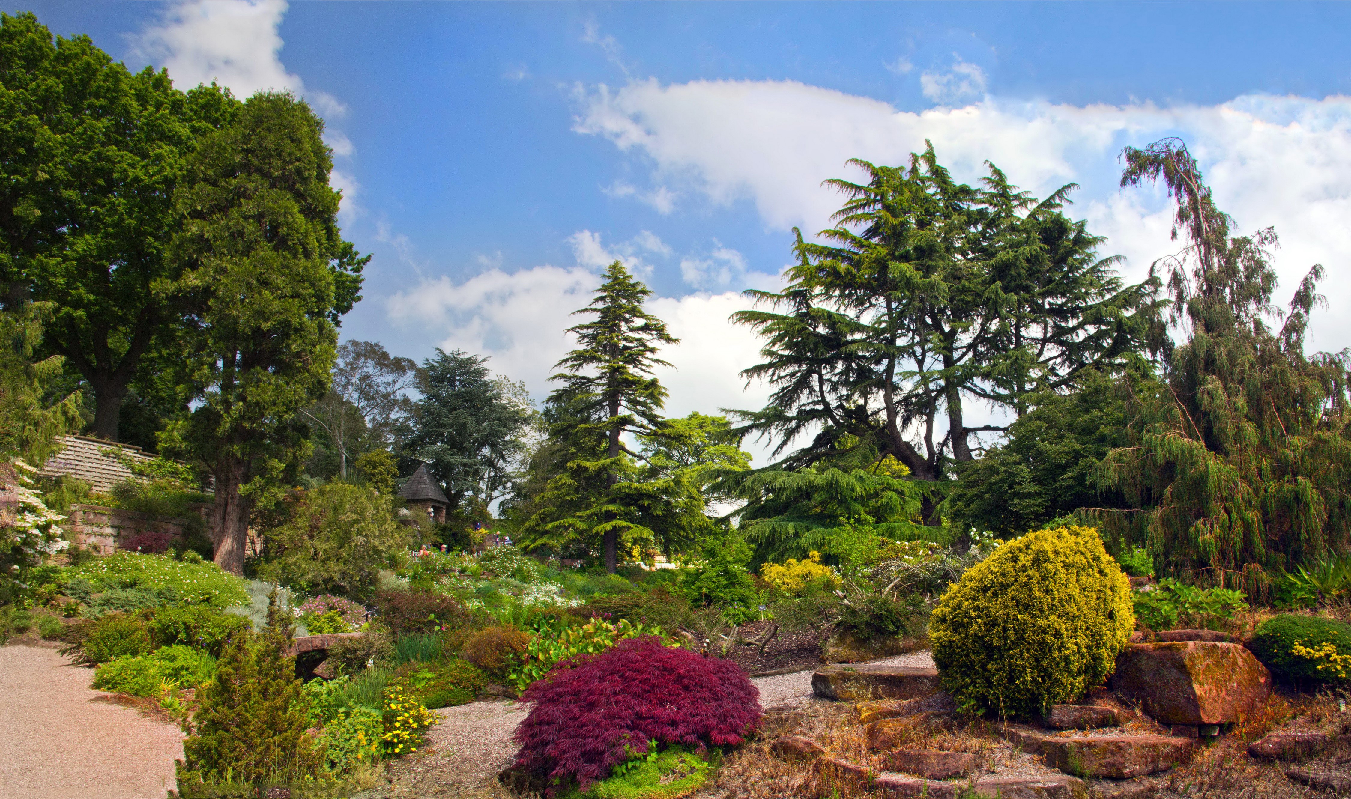 4K view of Lyme Park England with trees and shrubs HD Wallpaper