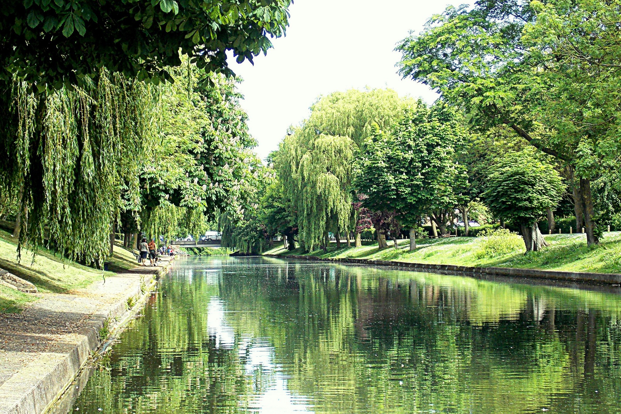 Royal Military Canal Hythe England with trees HD Wallpaper