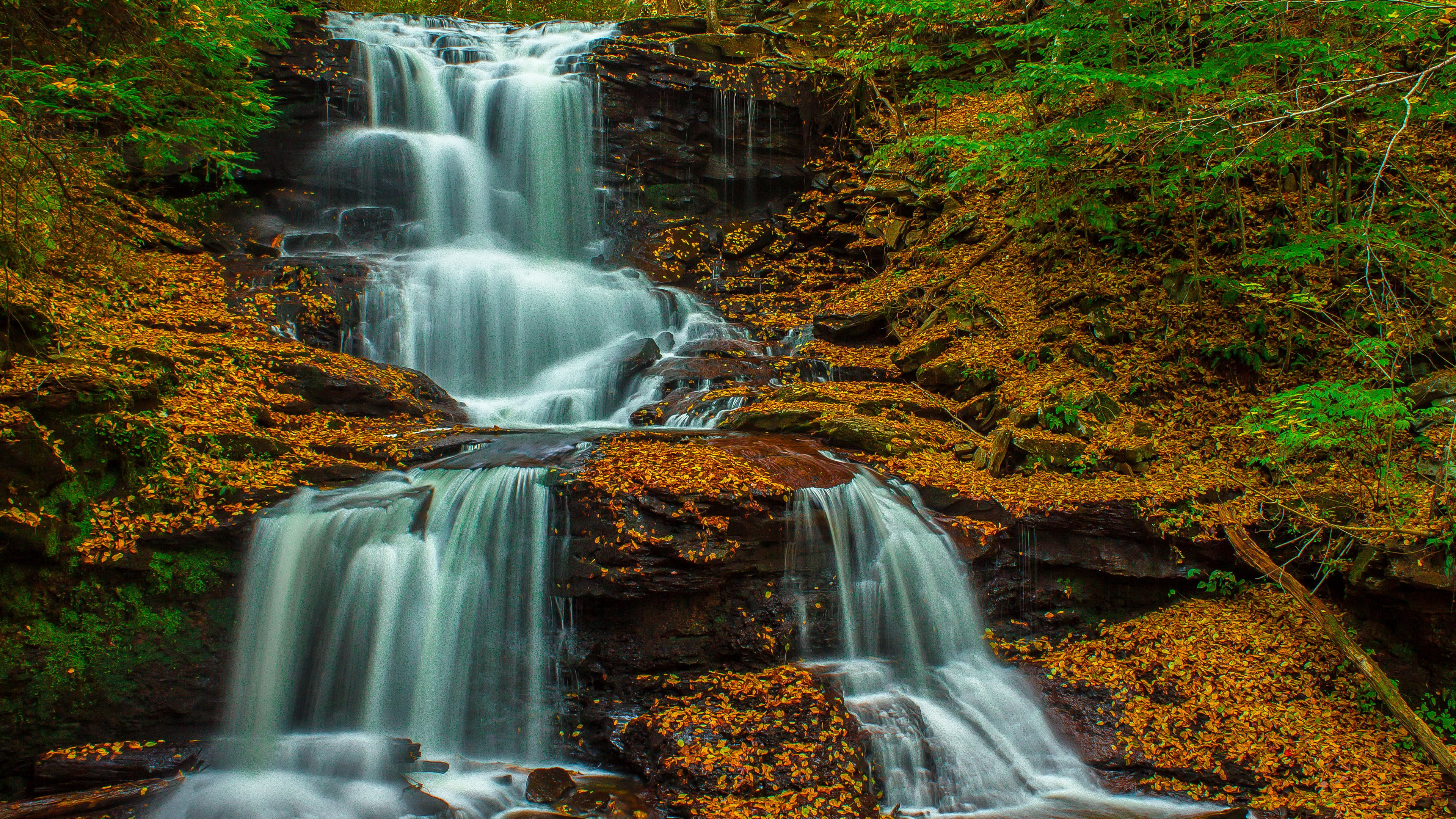 Waterfall cascading over rocks with autumn leaves HD Wallpaper