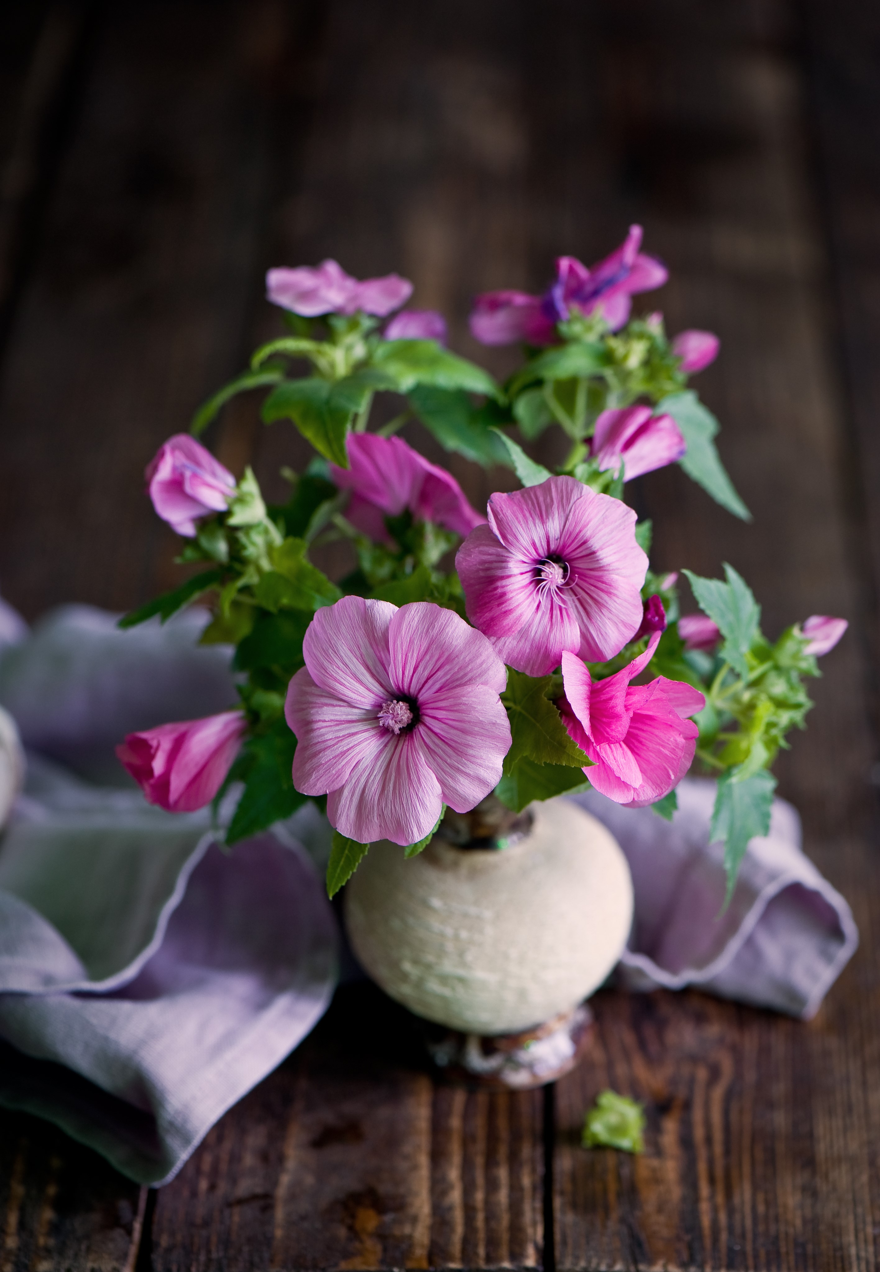 Pink Malva flowers in a vase on a wooden table HD Phone Wallpaper