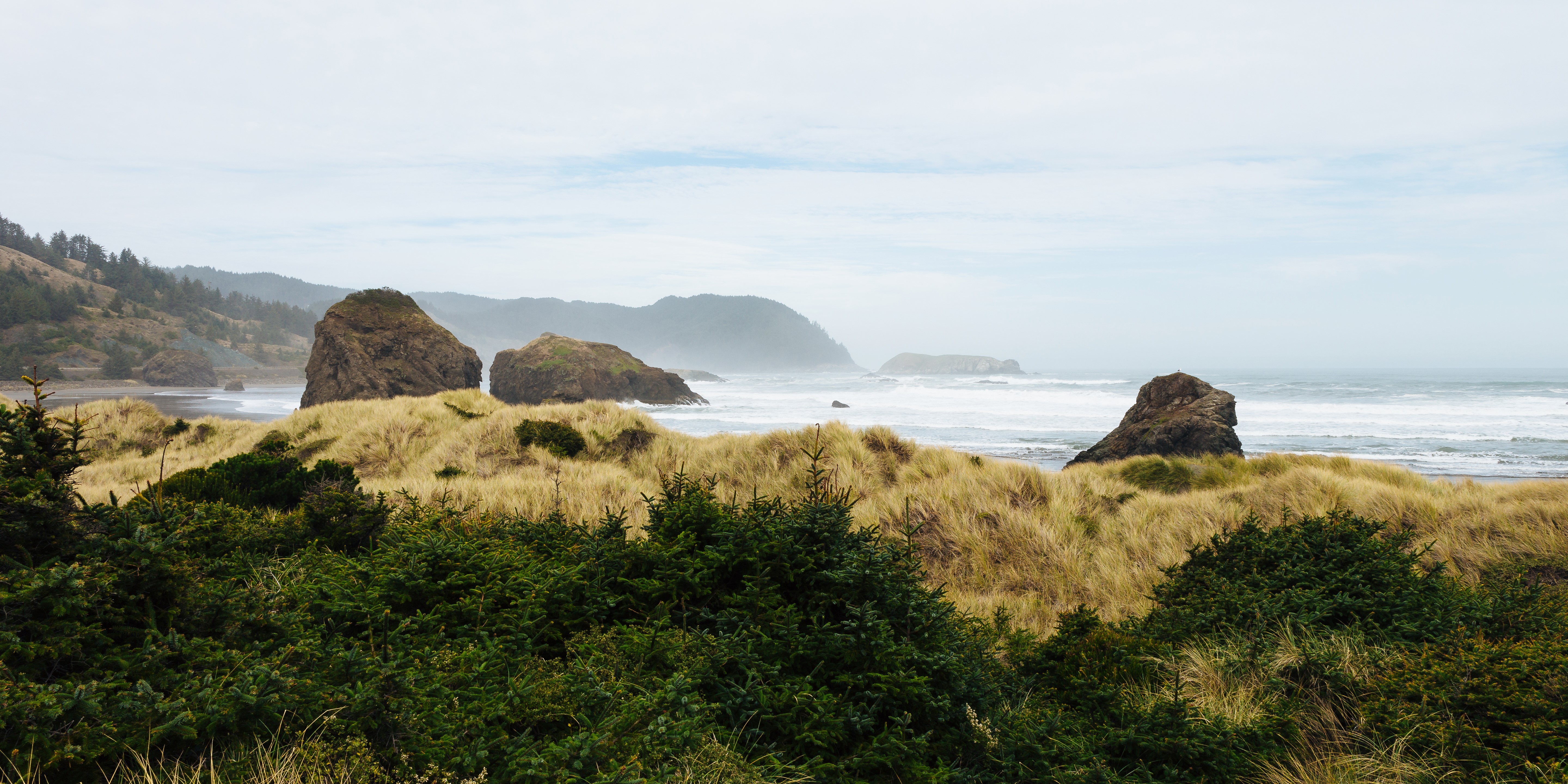 Coastal Oregon landscape with dunes and sea stacks HD Wallpaper