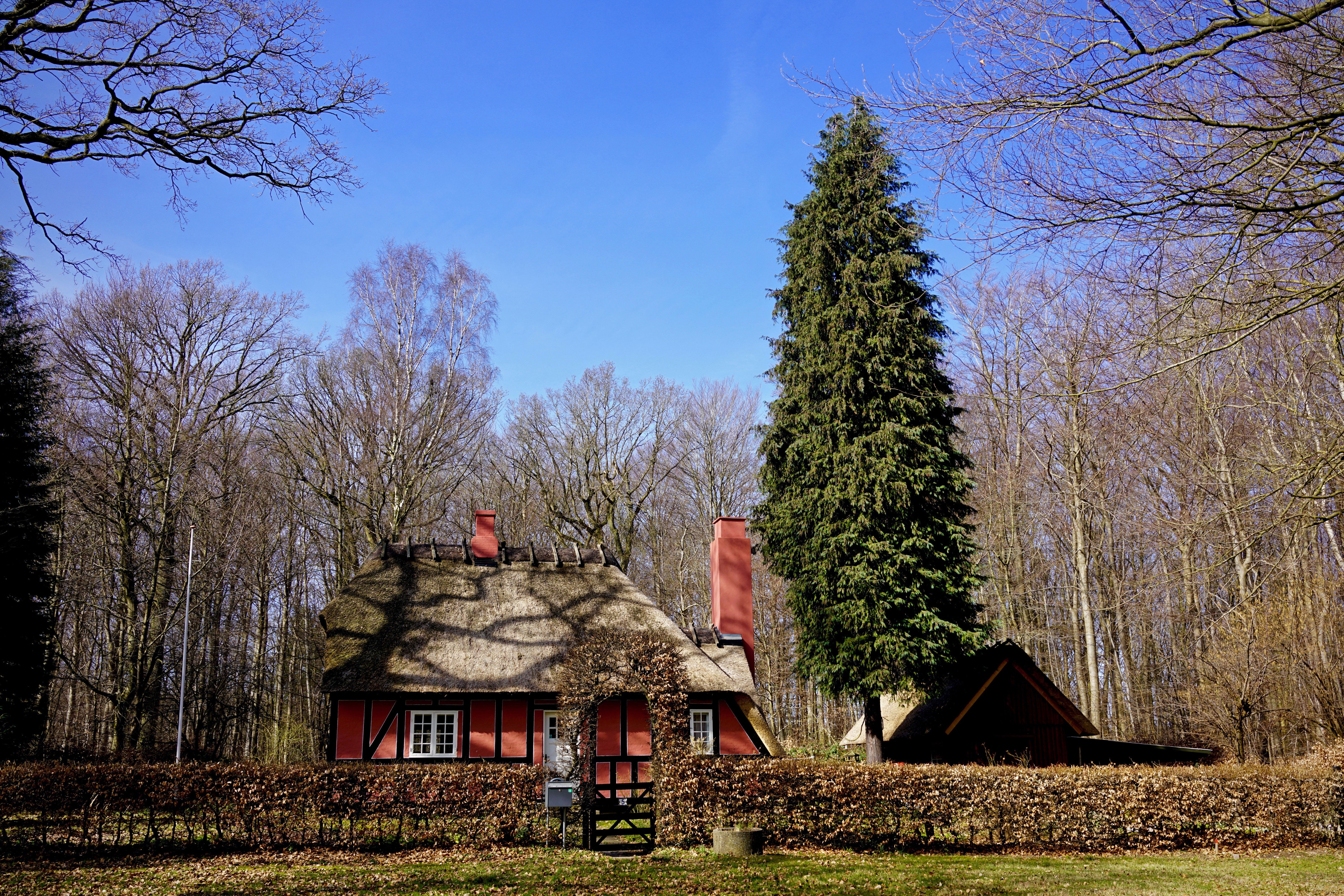 Thatched roof house with red facade in a forest HD Wallpaper