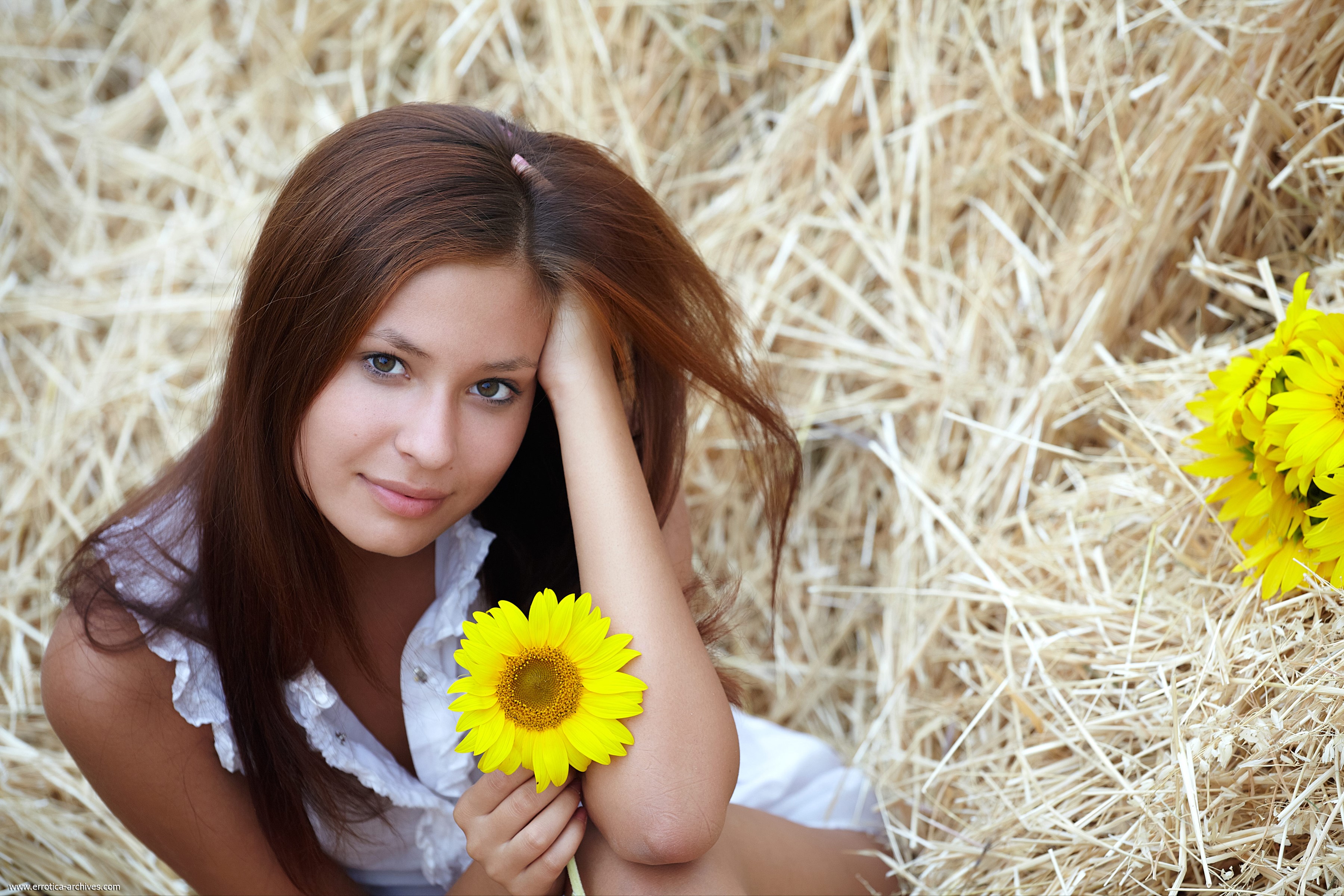 Young woman with sunflowers in hay HD Wallpaper