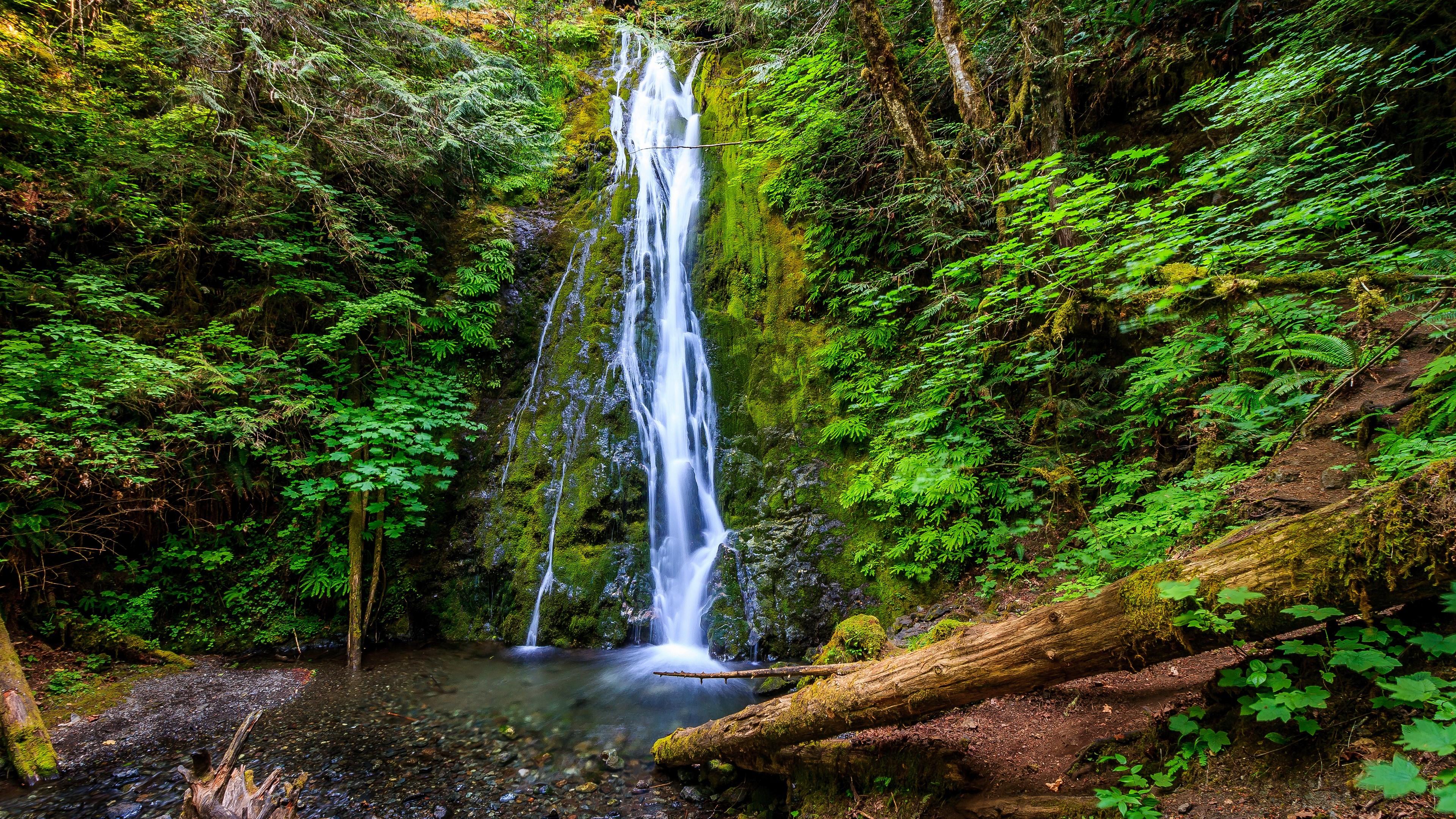 Waterfall in a lush green forest with fallen log HD Wallpaper
