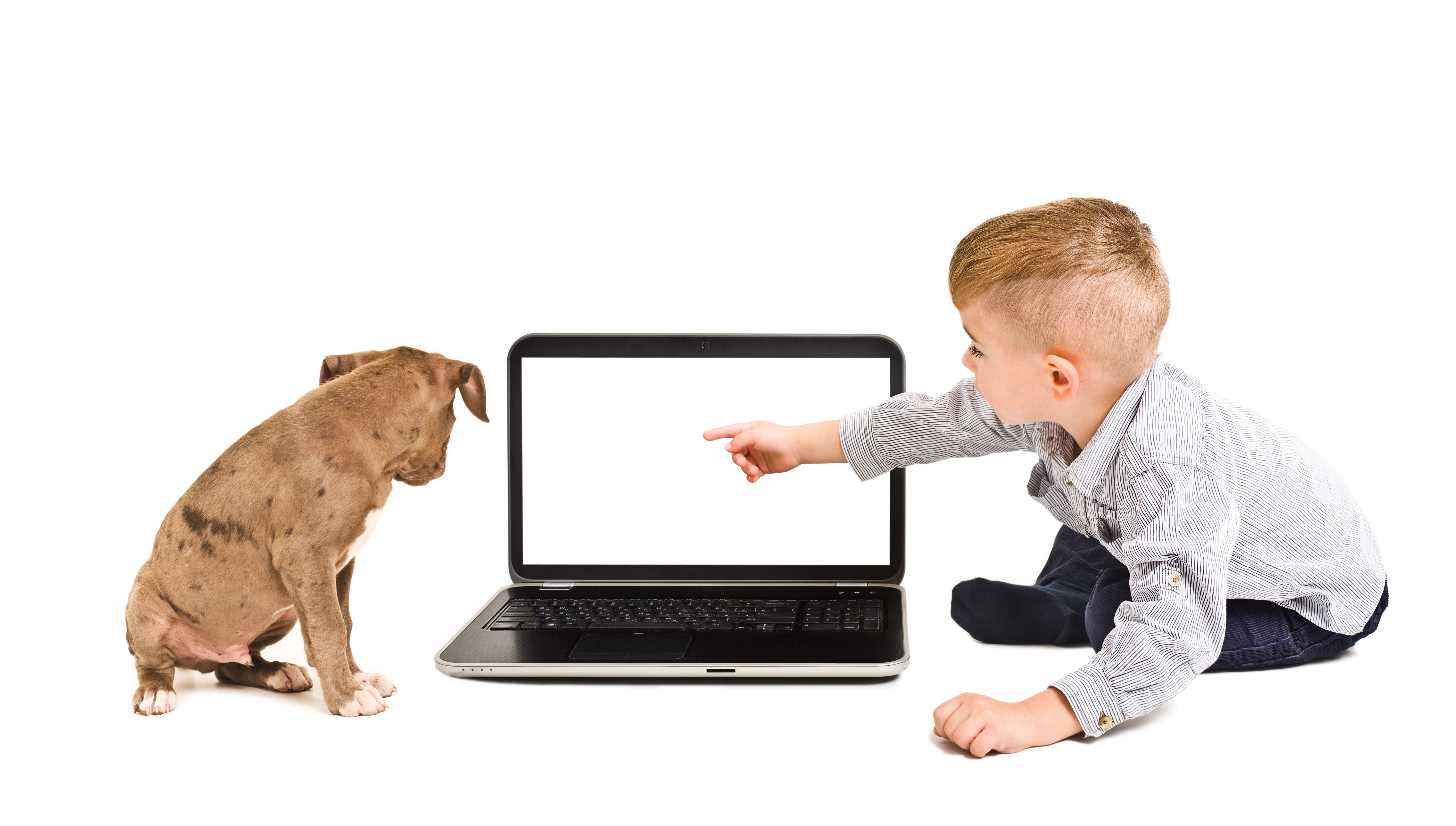 Boy and dog looking at a laptop HD Wallpaper