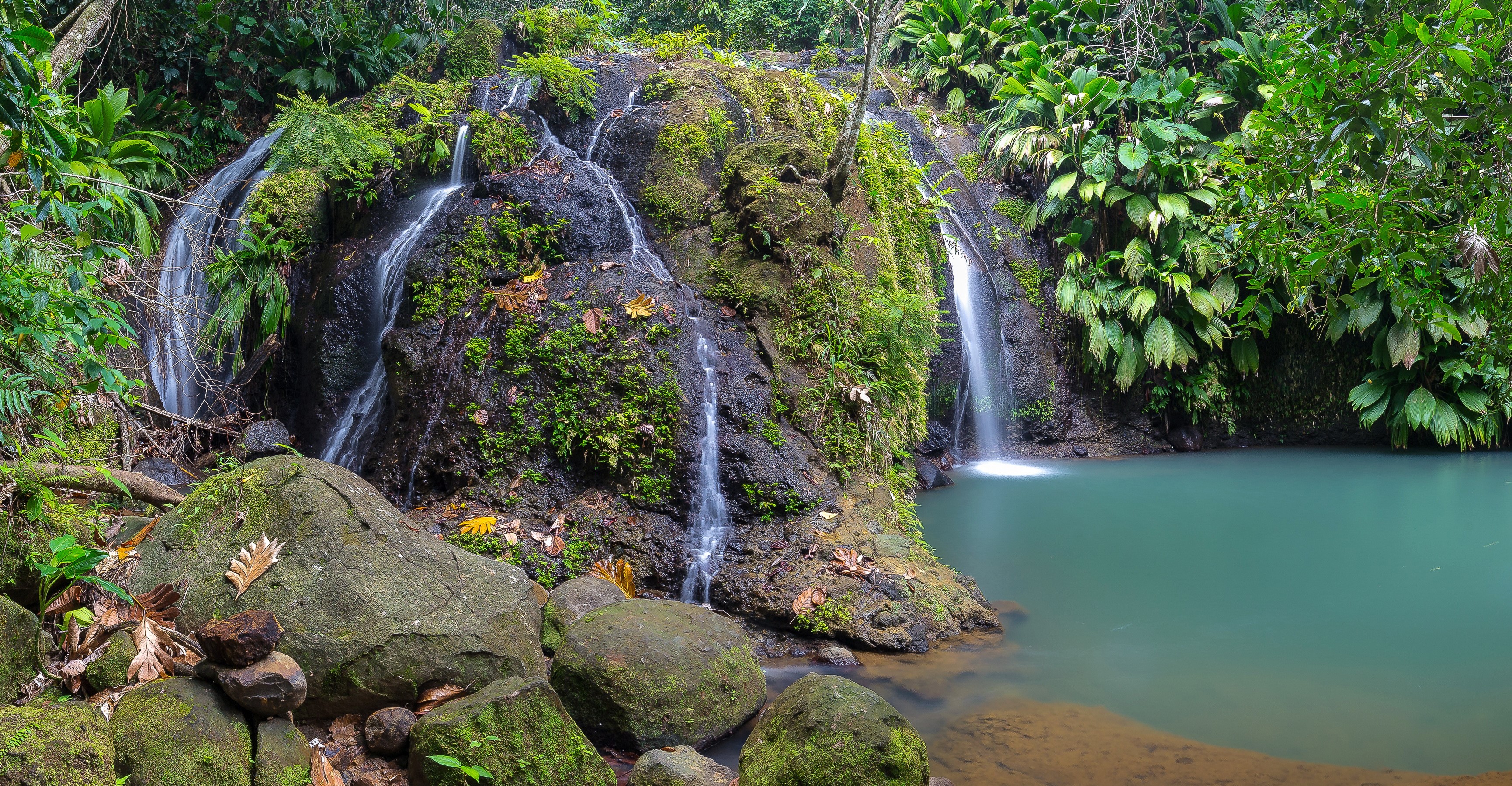 Waterfall in a tropical forest with mossy rocks HD Wallpaper