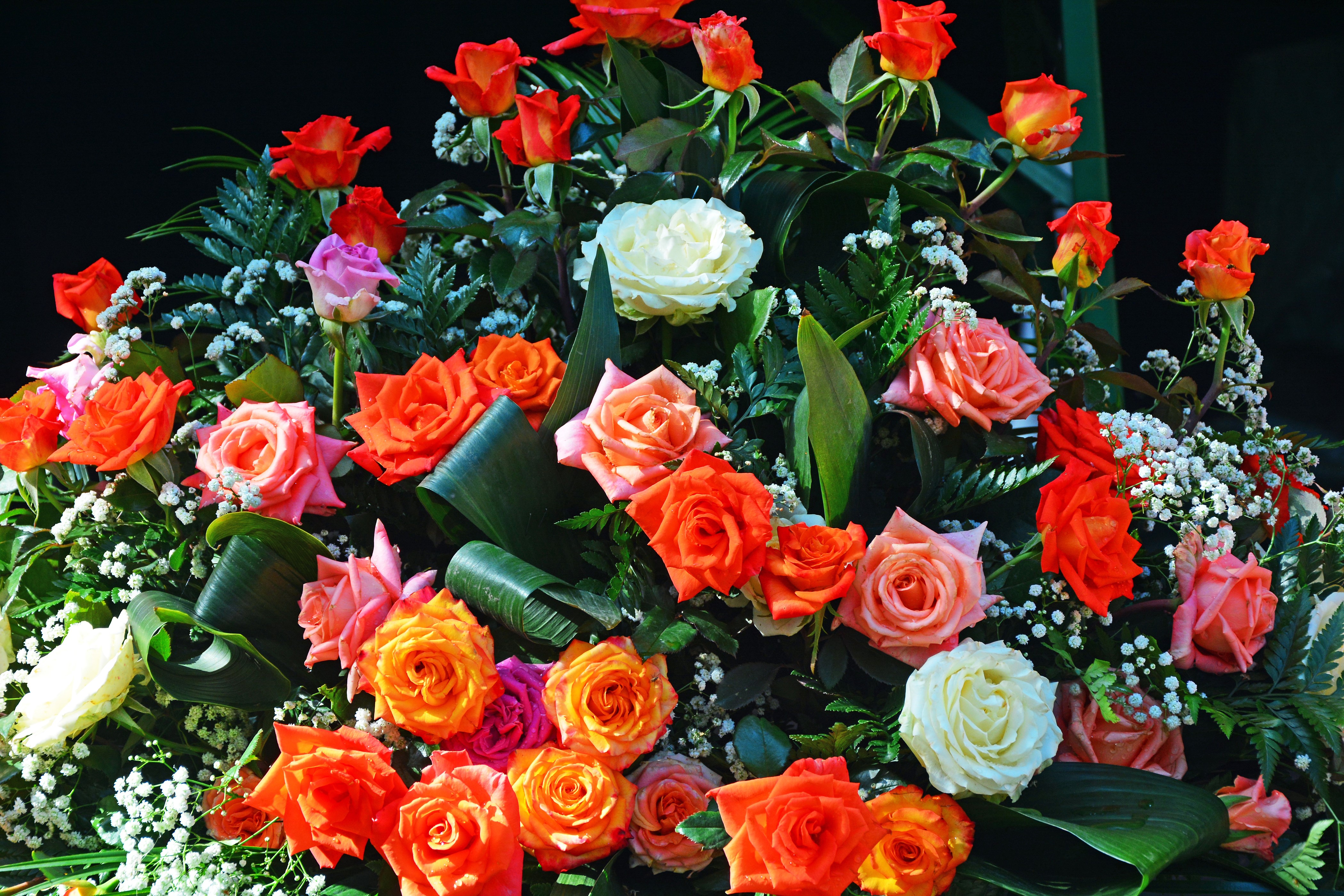 4K Roses Bouquets HD Wallpaper