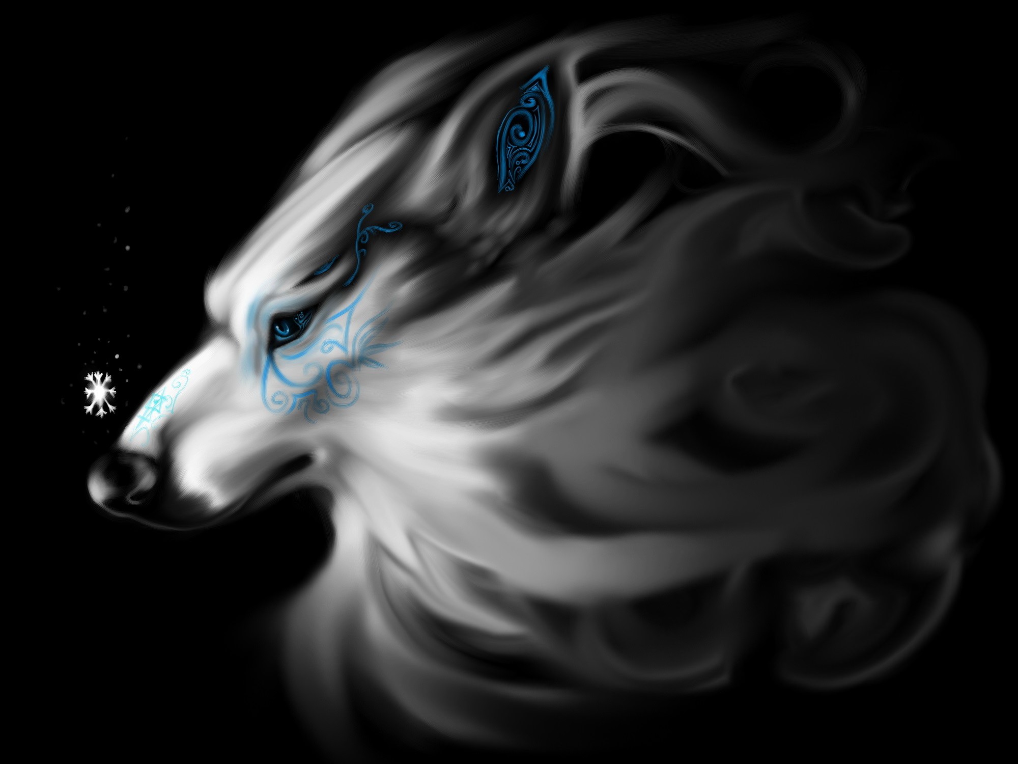 Wolf with blue tribal markings on black background HD Wallpaper