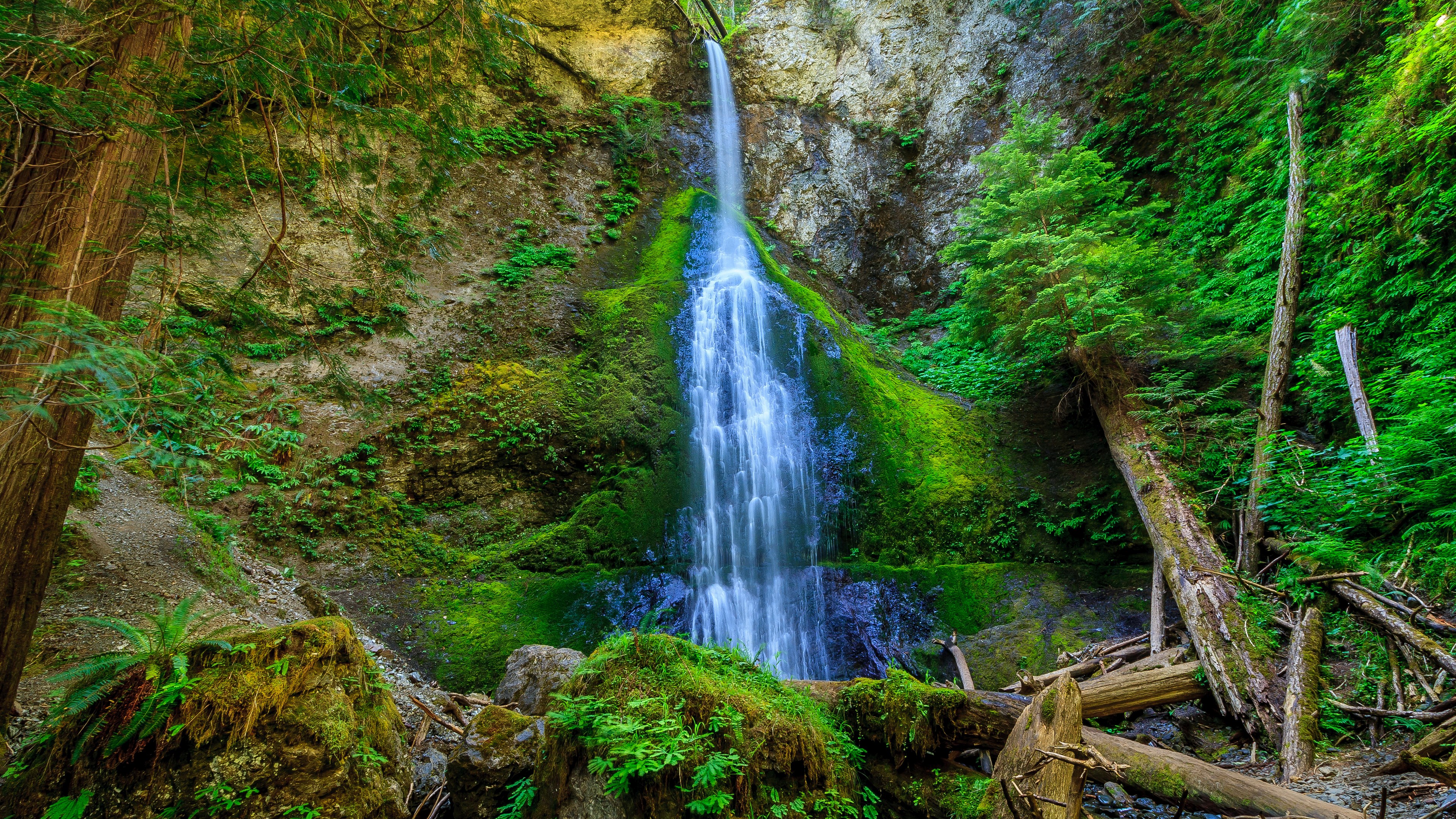 Waterfall cascading down a moss-covered cliff in a forest HD Wallpaper