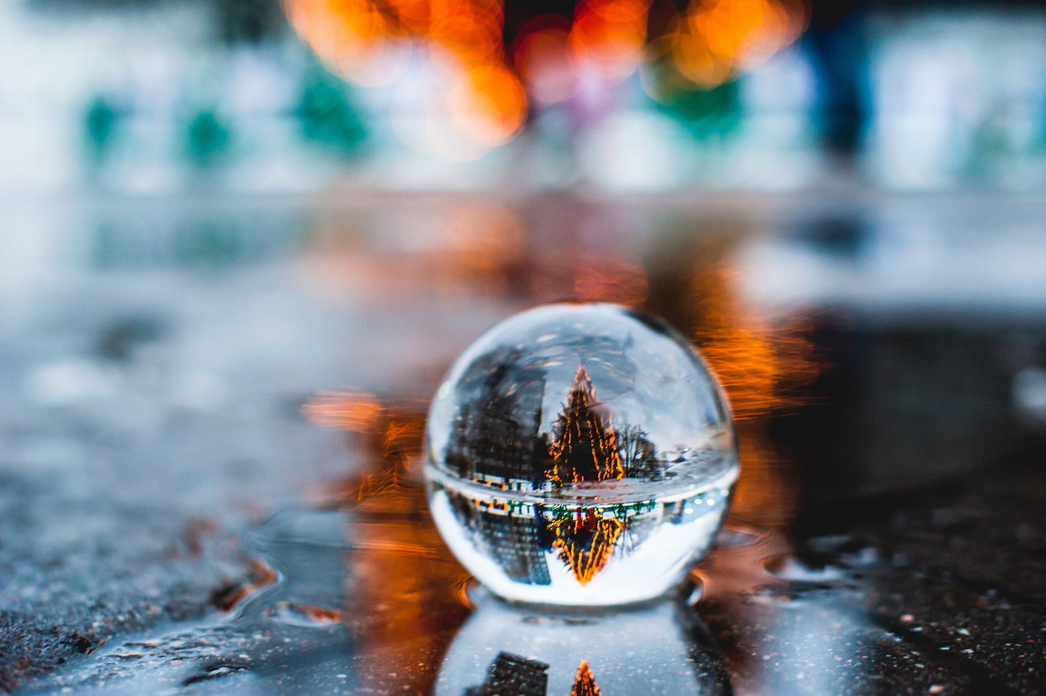 Christmas tree reflected in a glass ball on wet ground HD Wallpaper