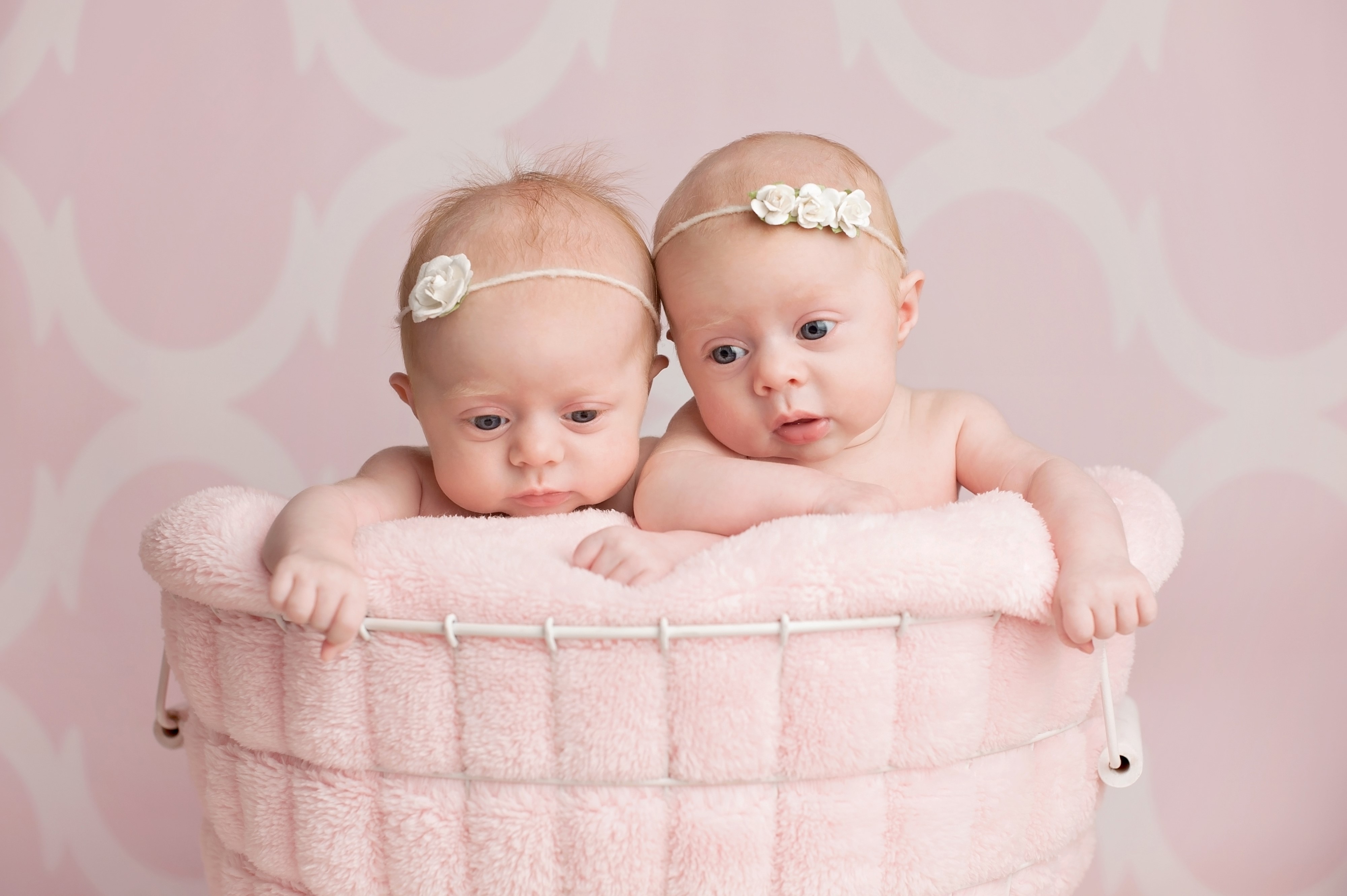 Two infants in a pink basket HD Wallpaper
