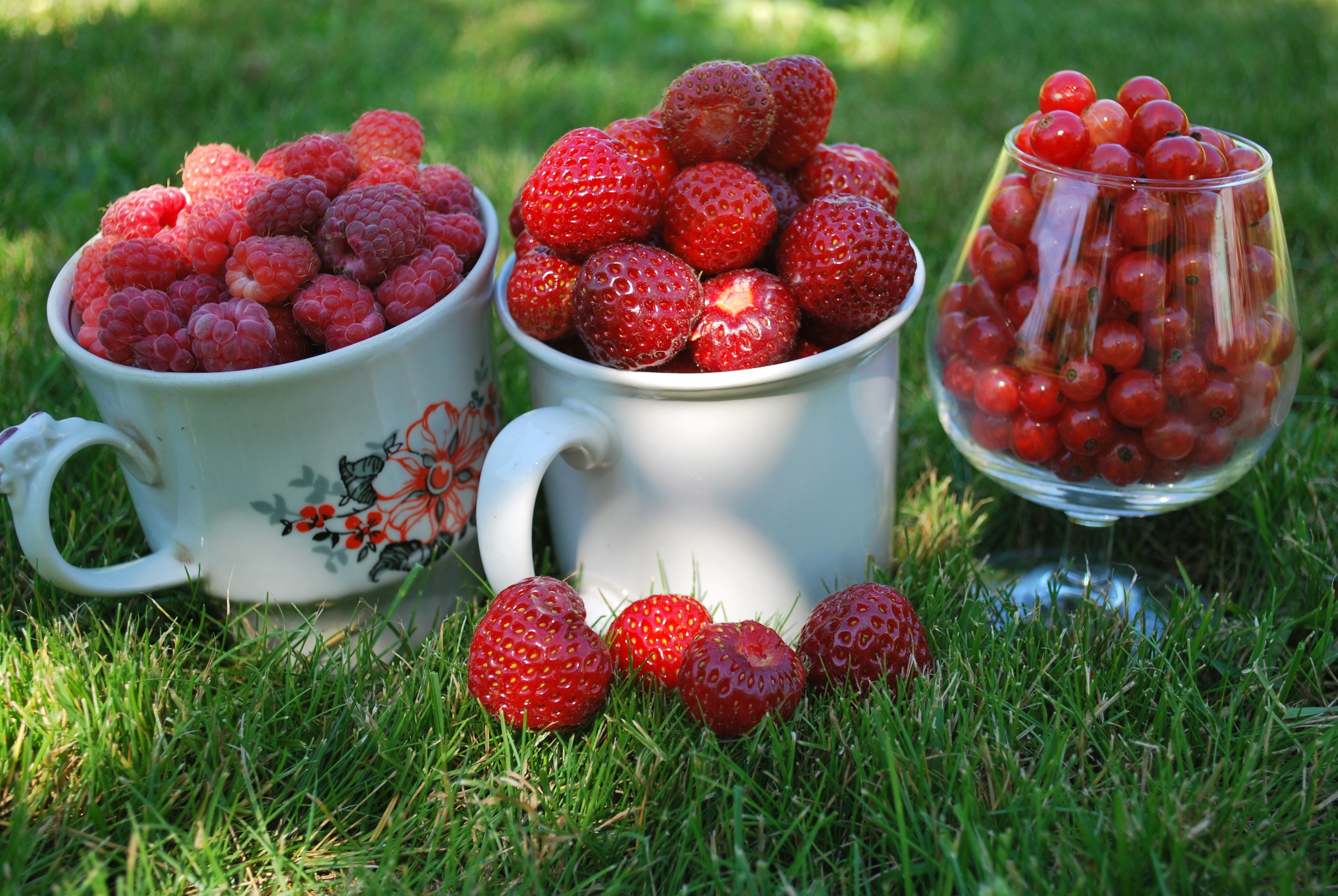 Berries in cups and stemware on grass HD Wallpaper