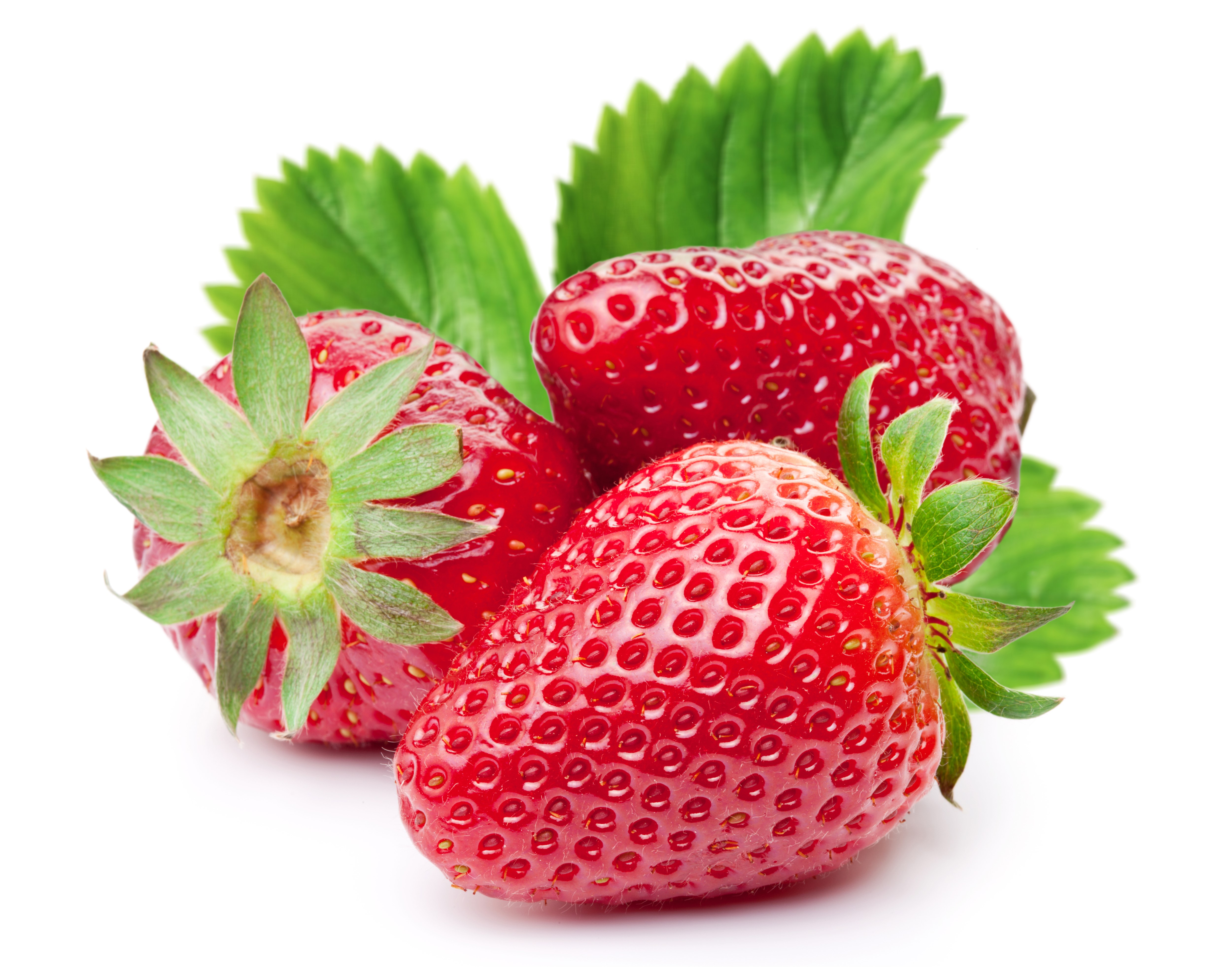 Three Strawberries with Leaves on White Background HD Wallpaper