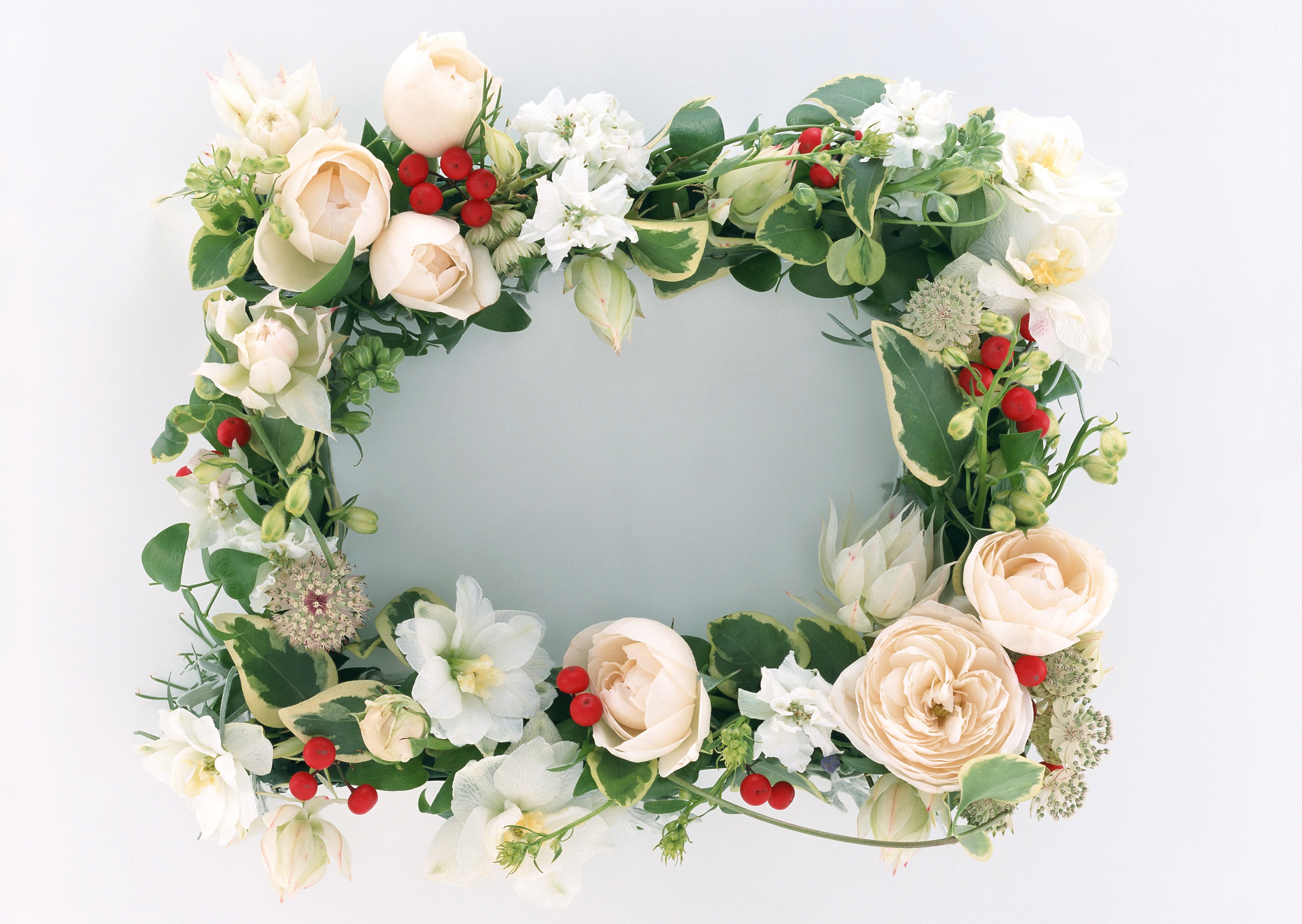 Floral wreath with roses and berries on white background HD Wallpaper