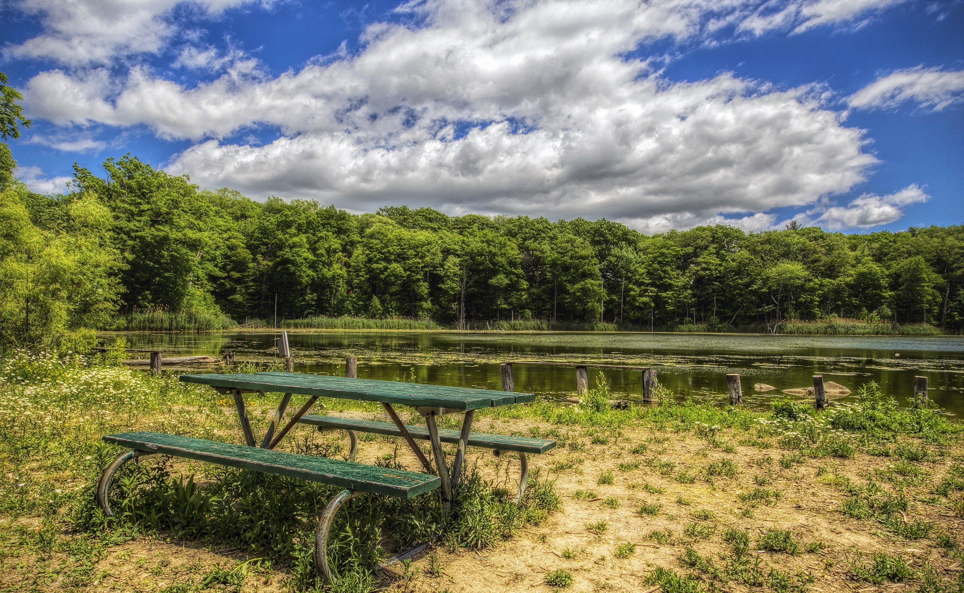 Picnic table by a lake with trees and clouds HD Wallpaper