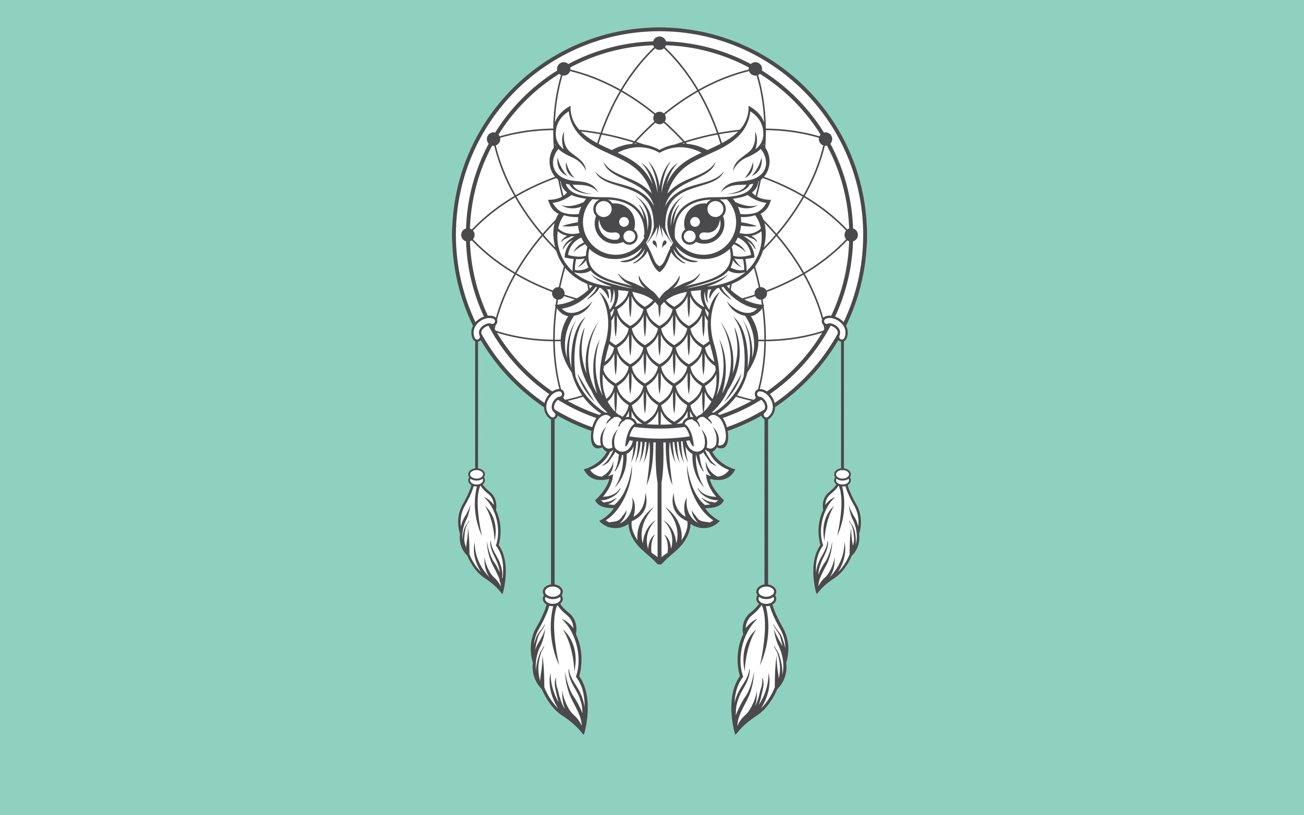 Dreamcatcher with an owl and feathers HD Wallpaper