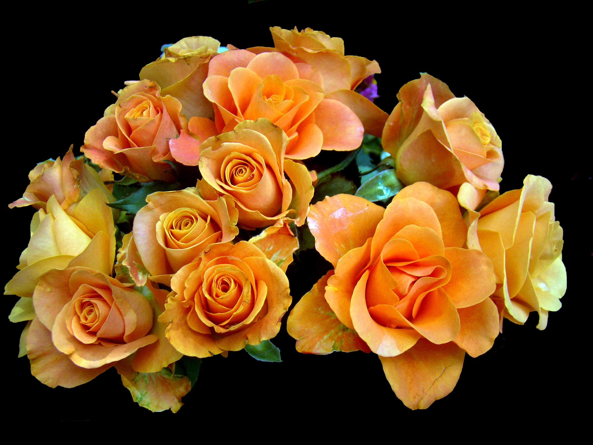 Bouquet of orange and yellow roses on a black background HD Wallpaper